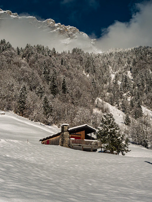 Snow-covered cabin nestled in a winter mountain forest.