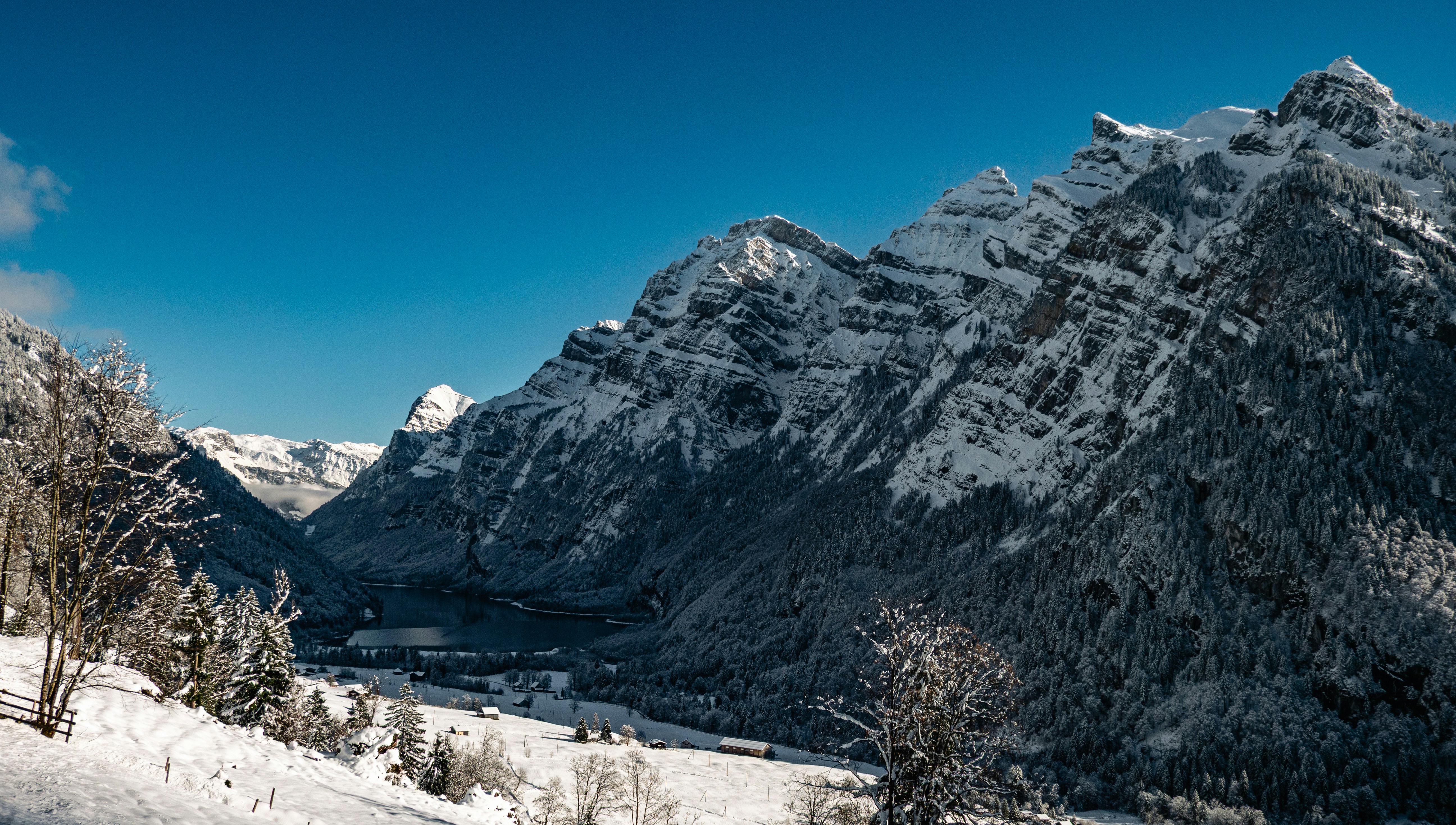 Photo by poli_graphy