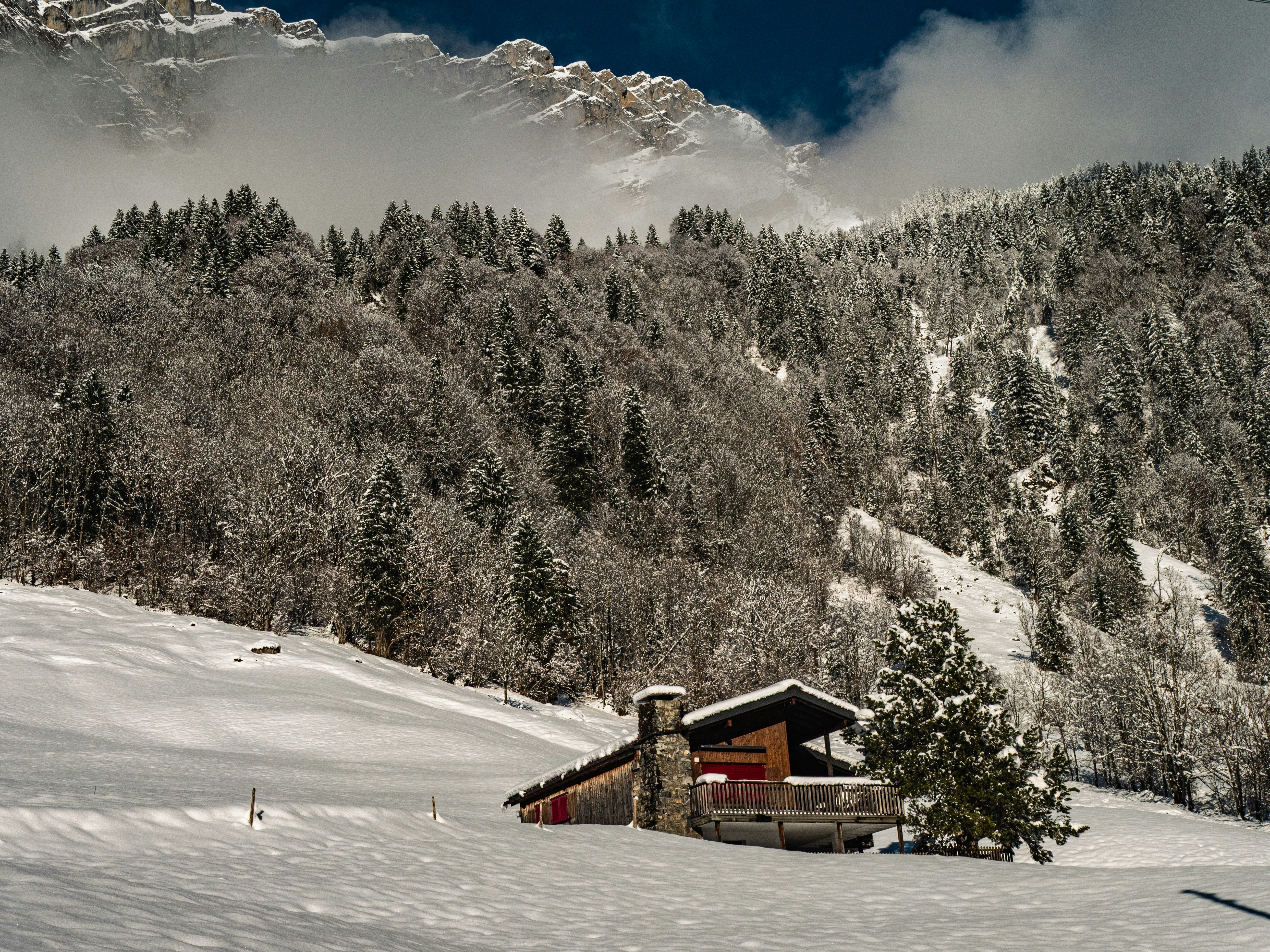 Photo by poli_graphy