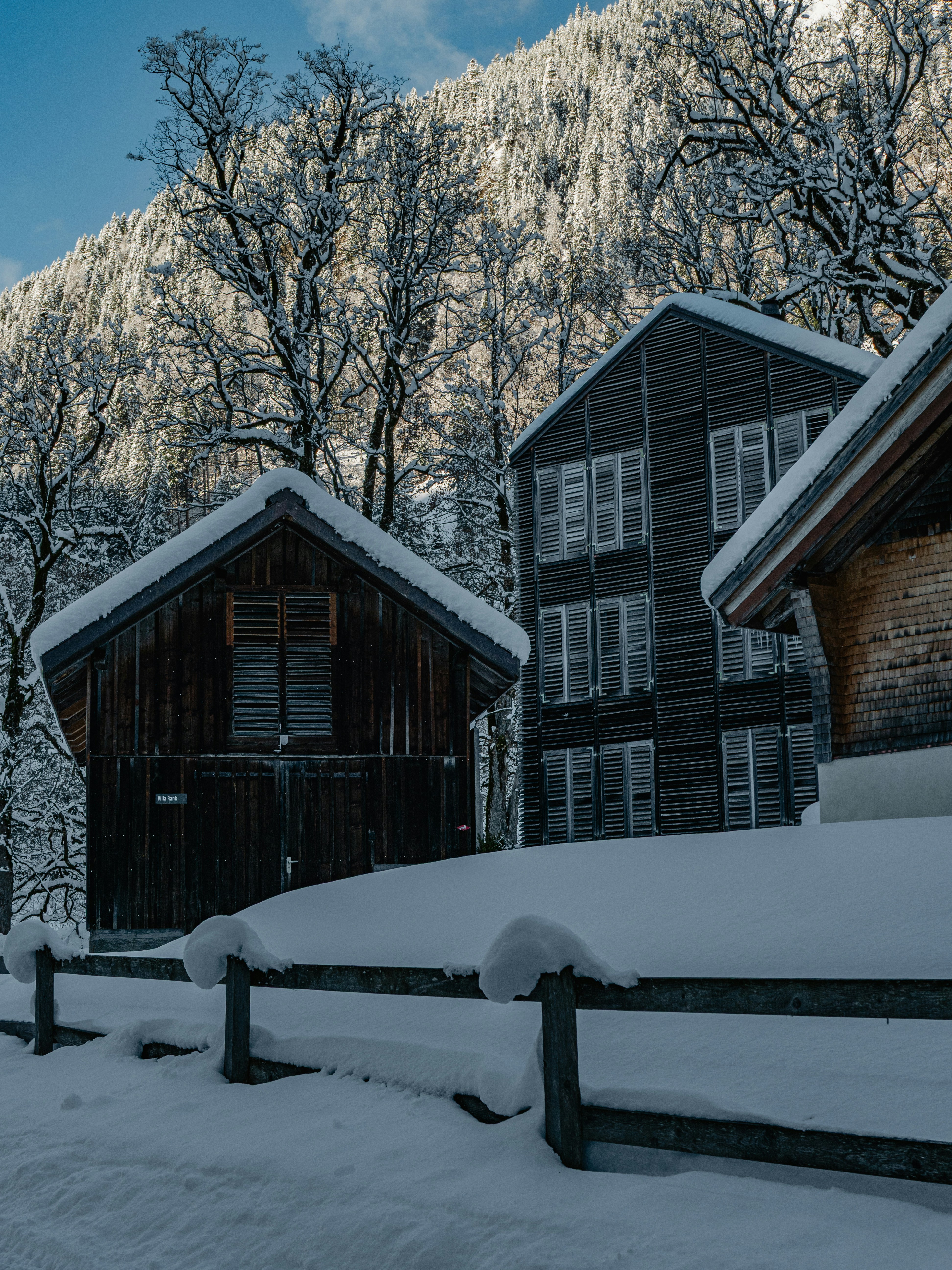 Photo by poli_graphy