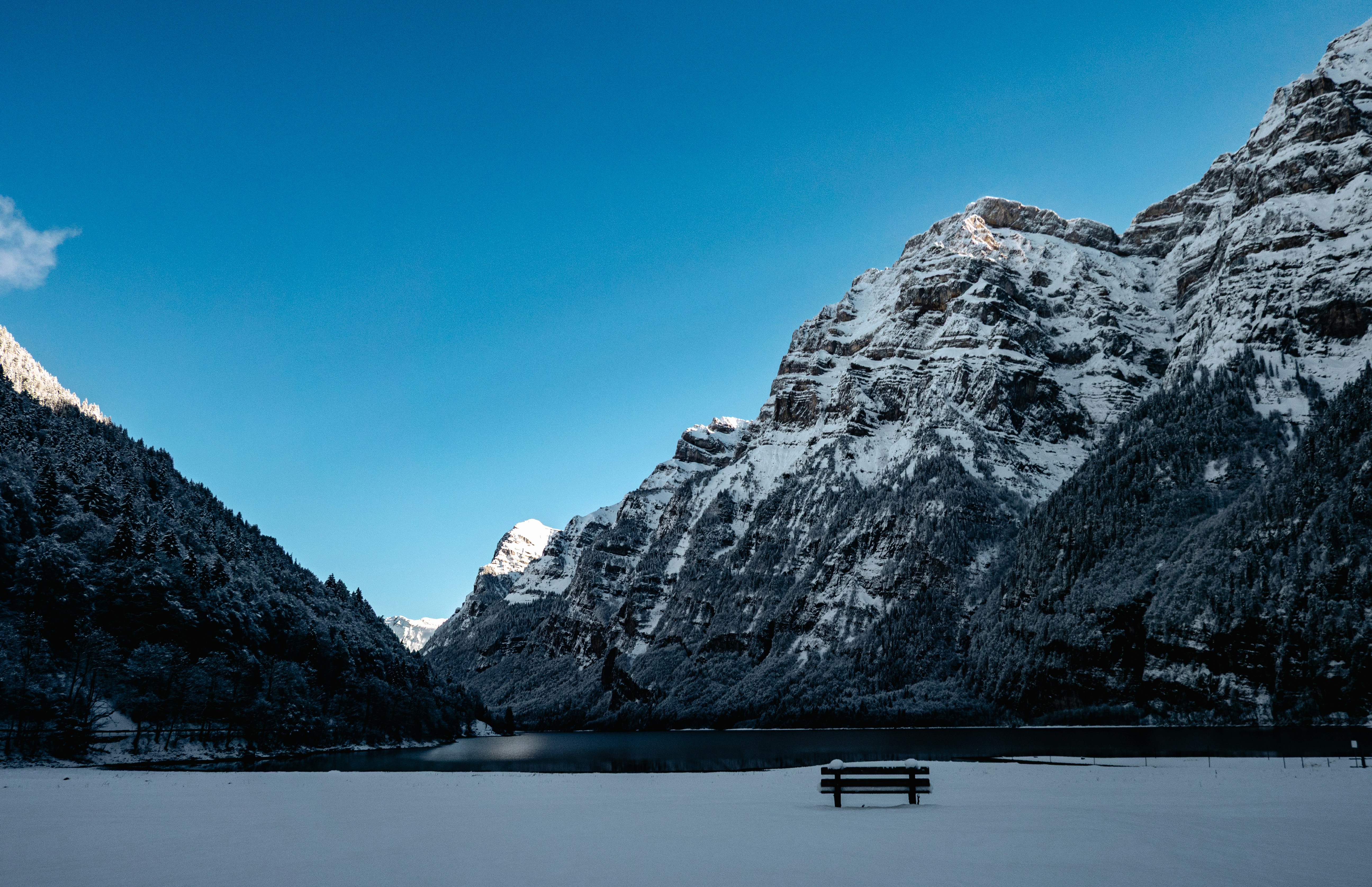 Photo by poli_graphy