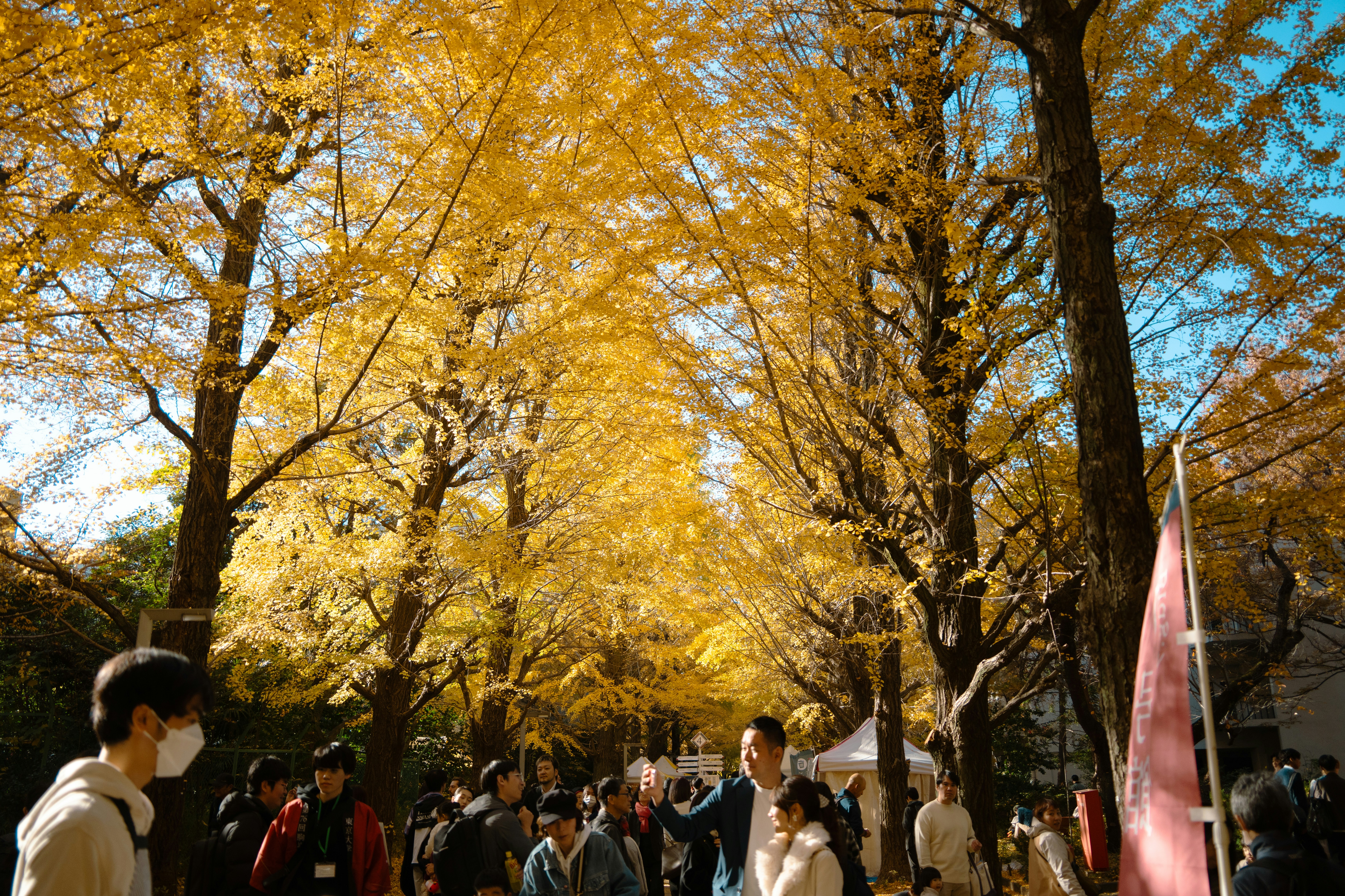 Photo by kngstm
