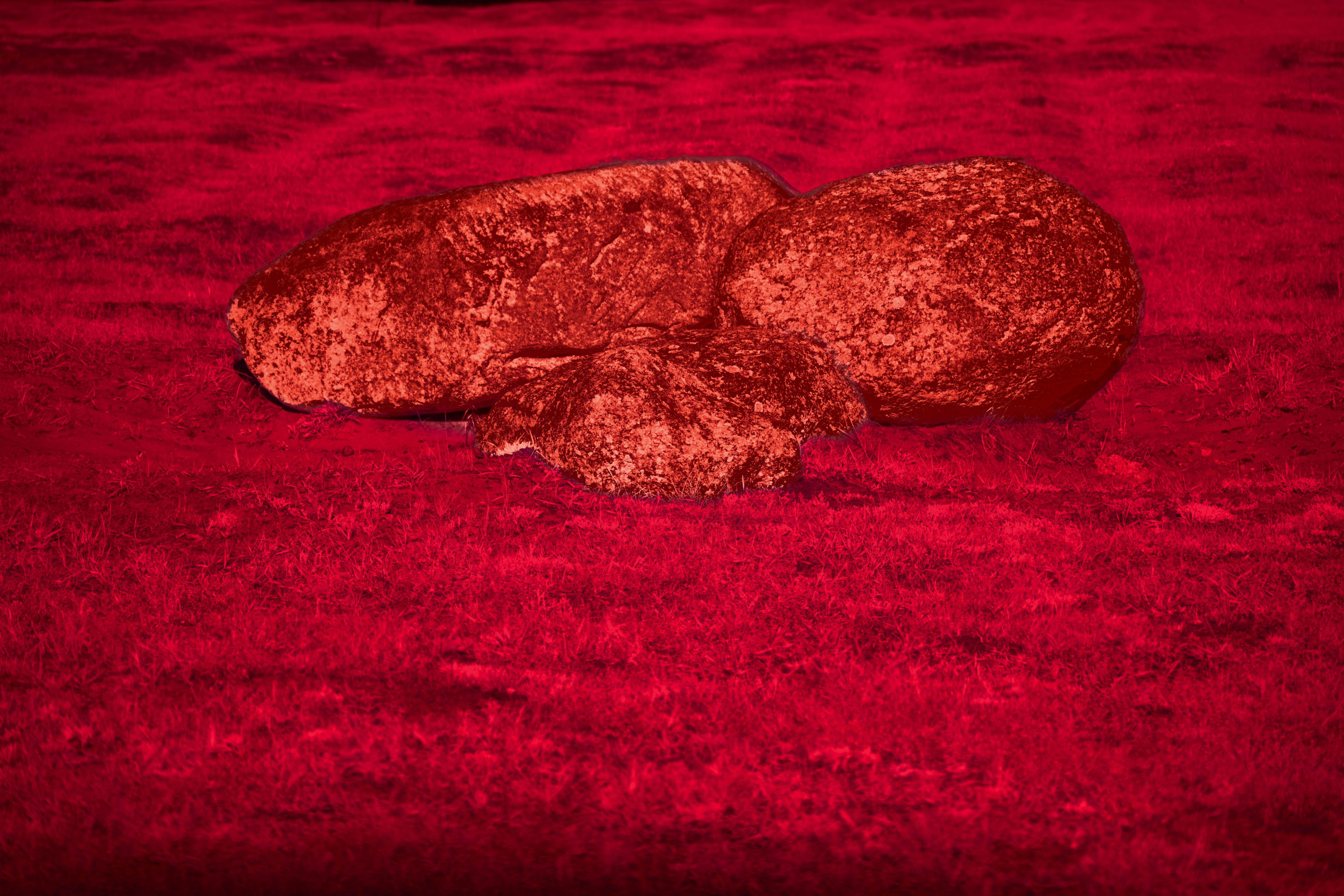 Three textured red rocks on a red surface (Photo by Wolfgang Hasselmann on Unsplash)