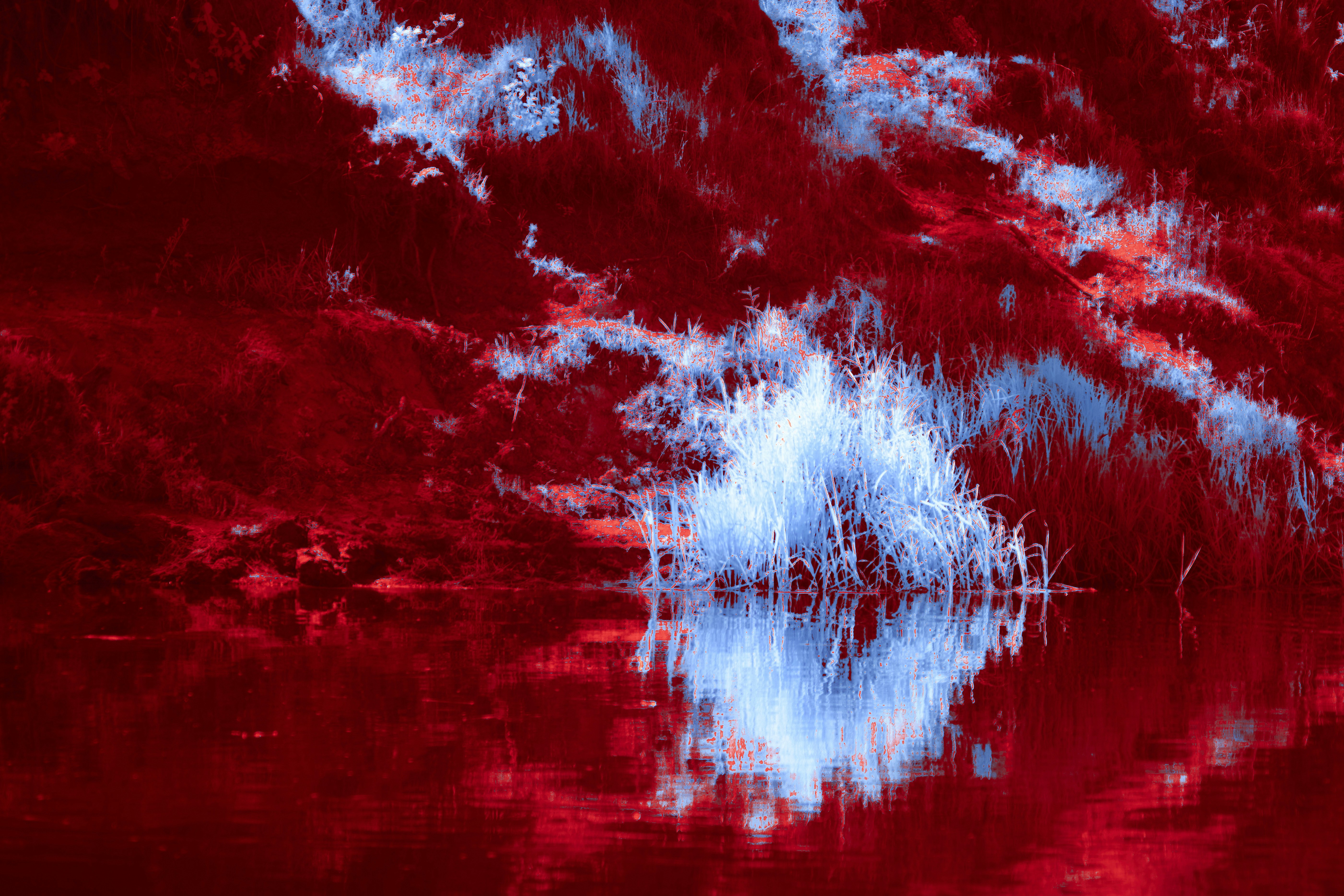 Photo by wolfgang_hasselmann