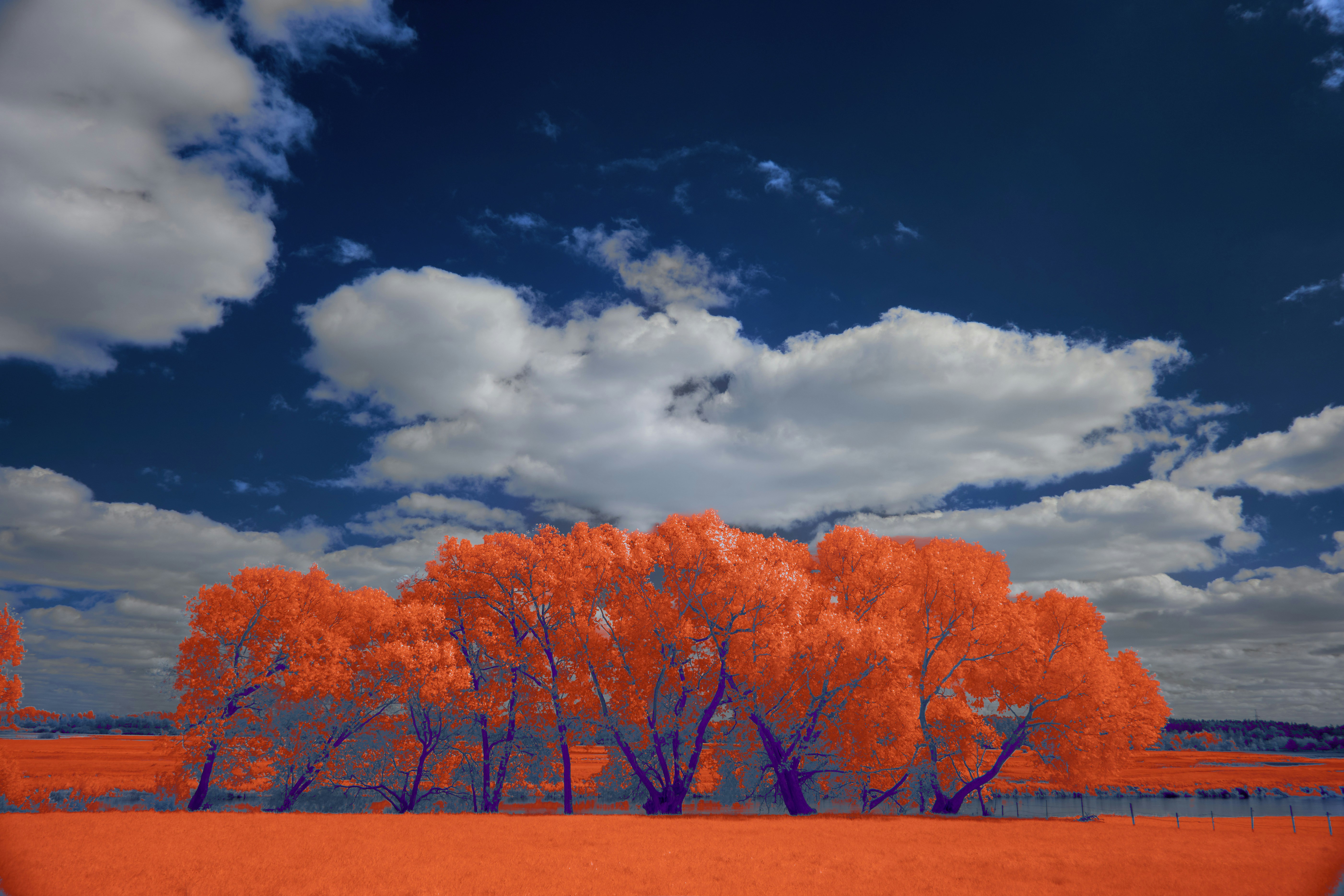 Photo by wolfgang_hasselmann