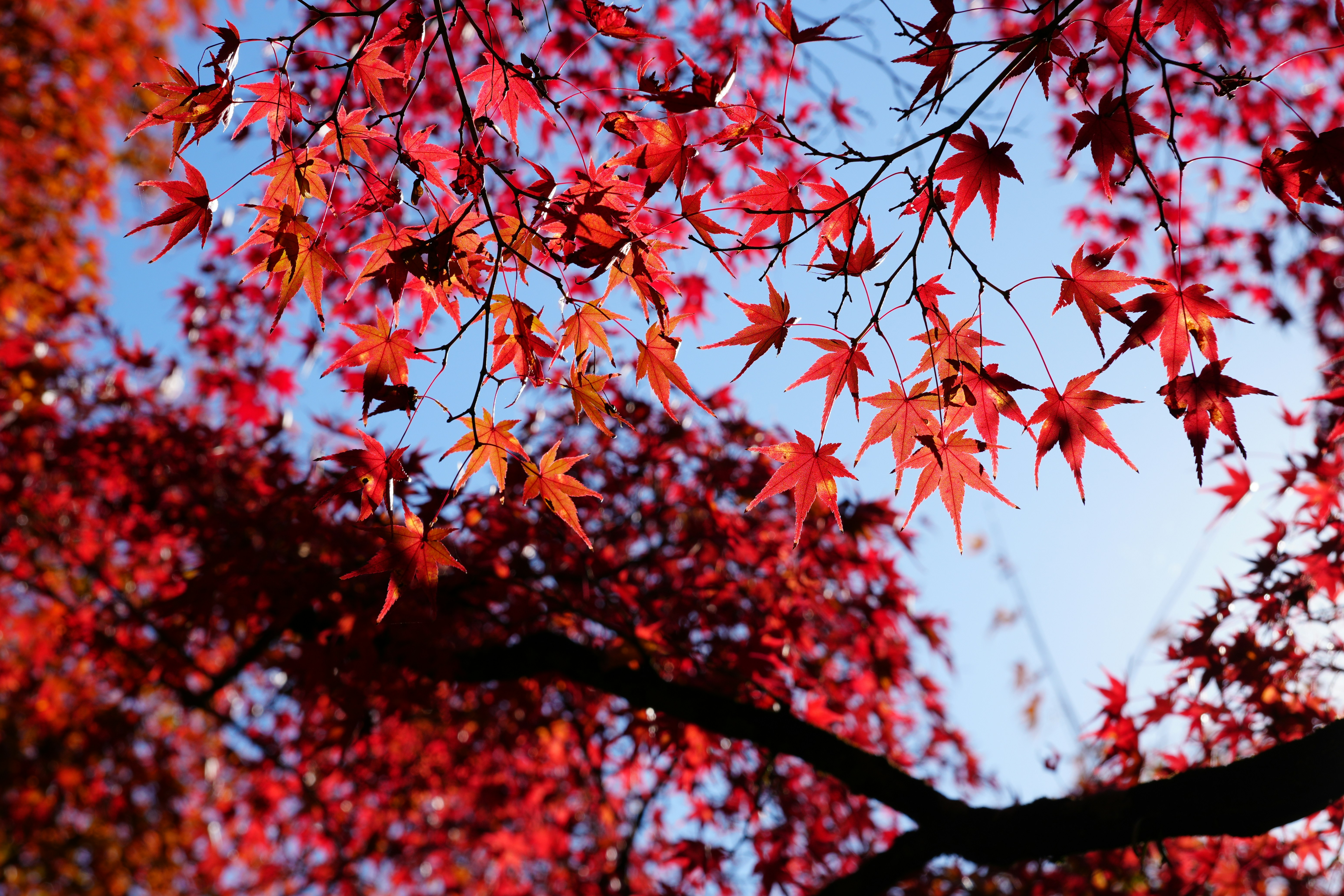 Photo by dm8ryphotos