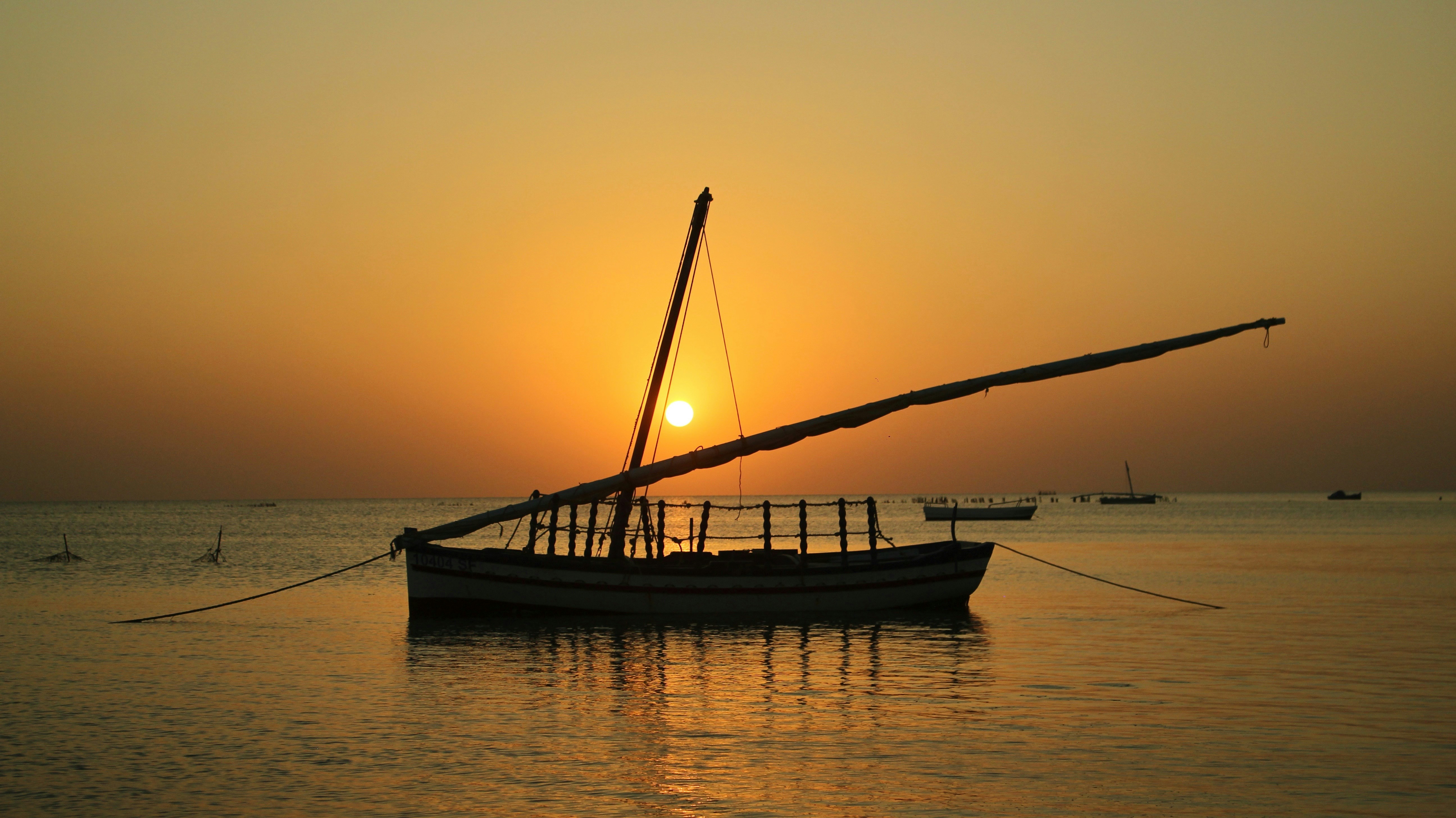 Photo by ghozzia_yacine