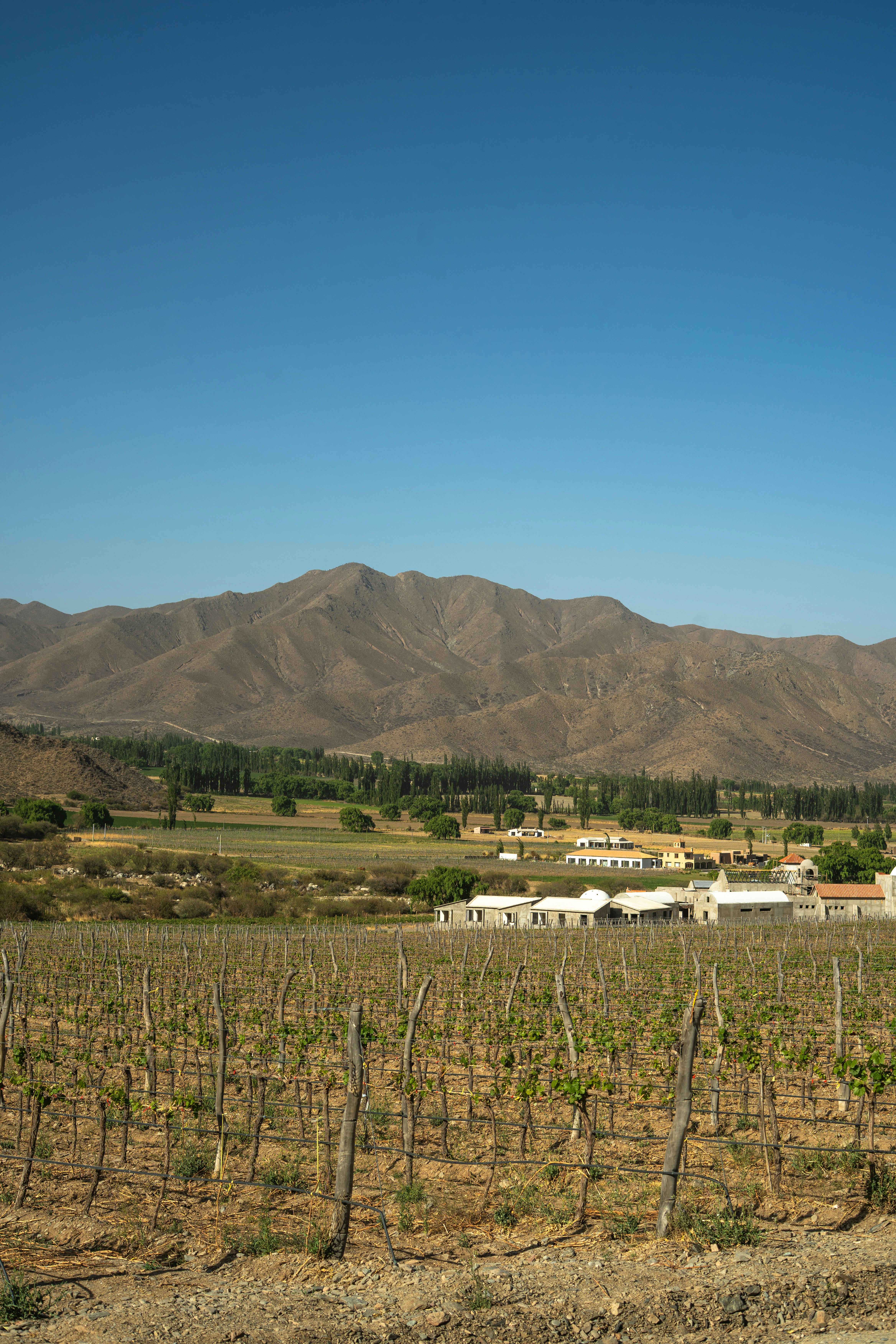 Day 9: Travel to Patagonia - El Calafate