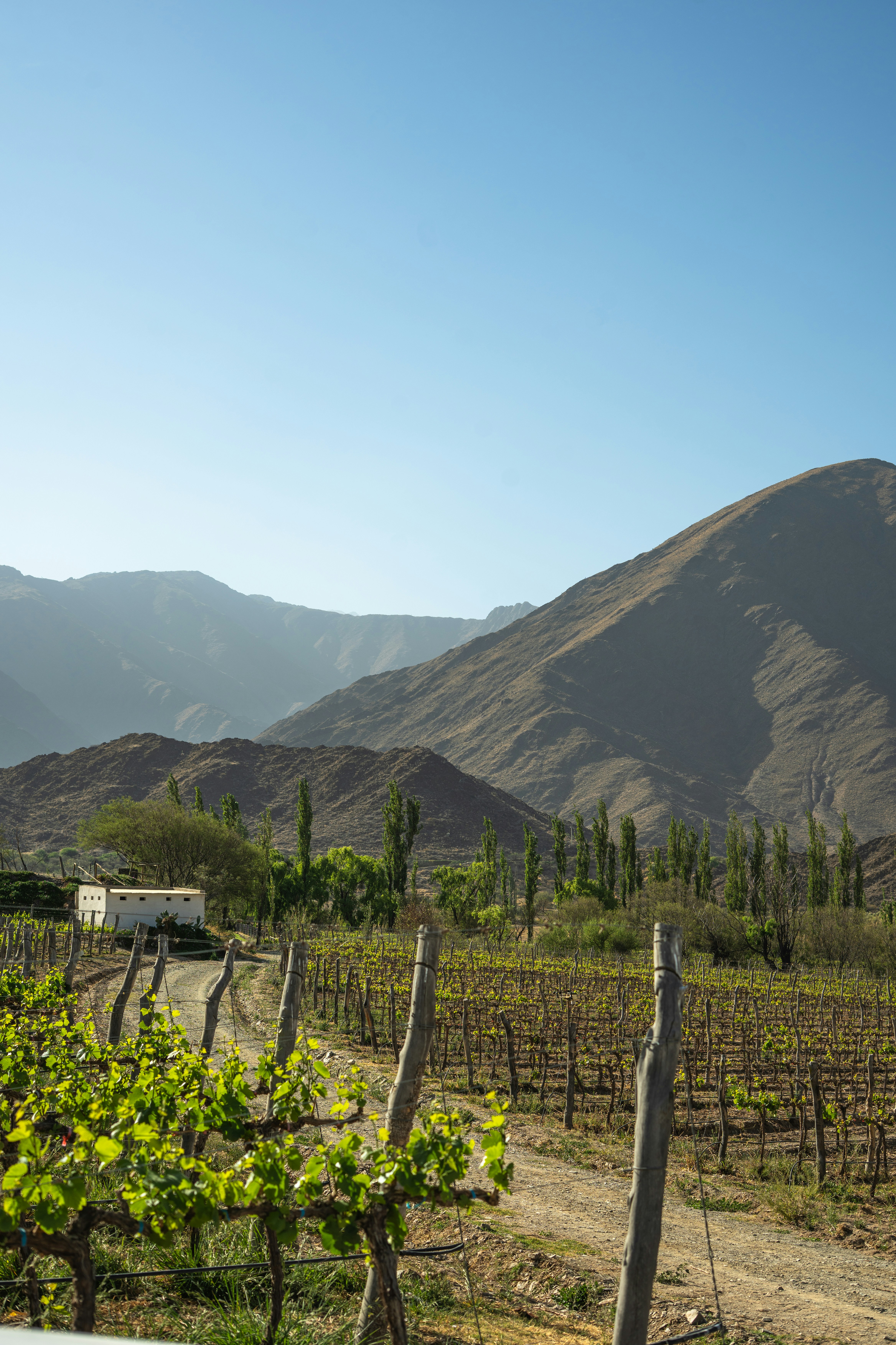 Day 4: Art, Markets, and Culinary Adventures