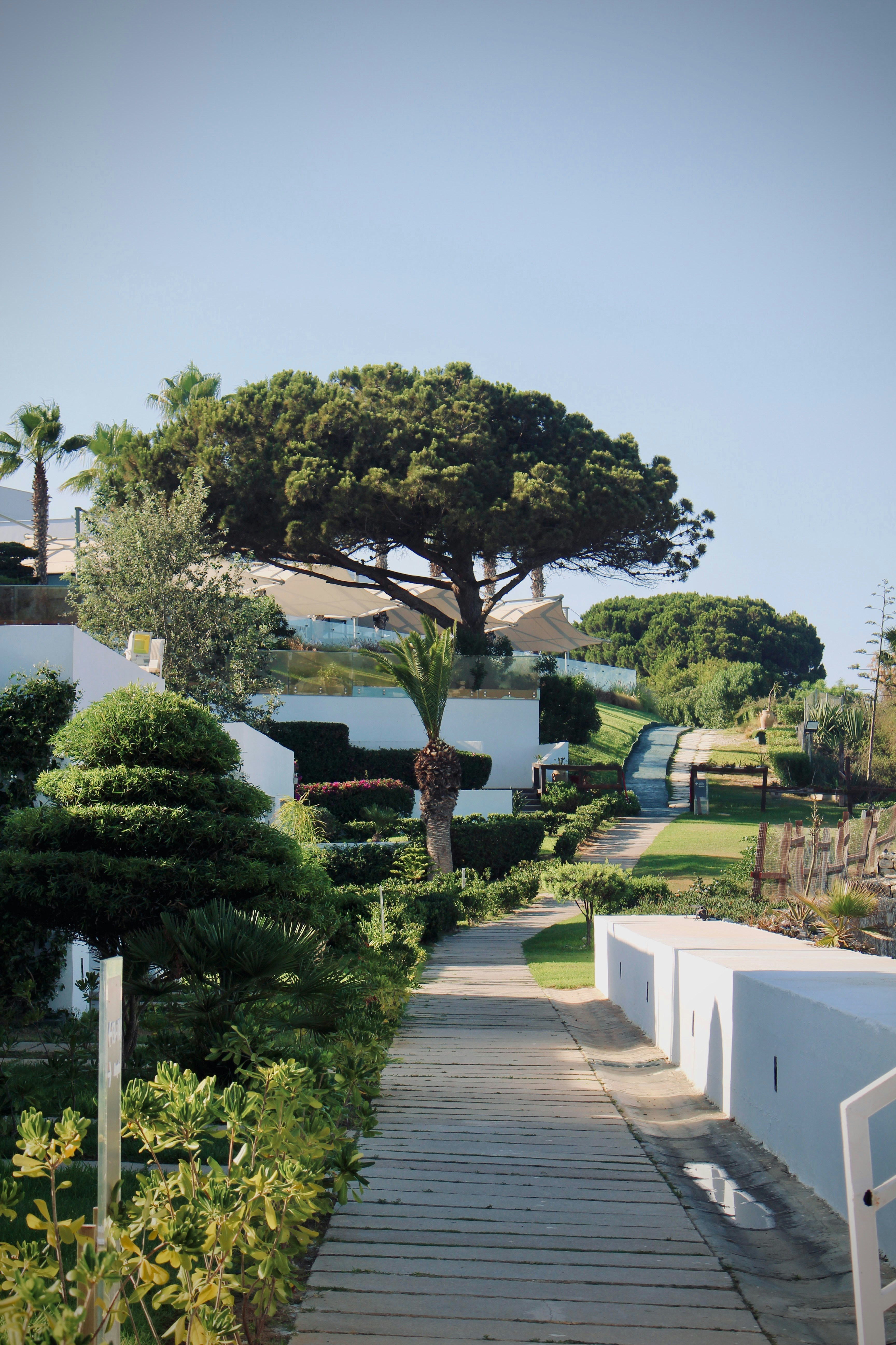 Photo by ghozzia_yacine