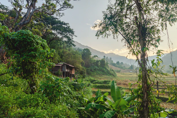 Rustic wooden hut nestled in lush green hillside landscape