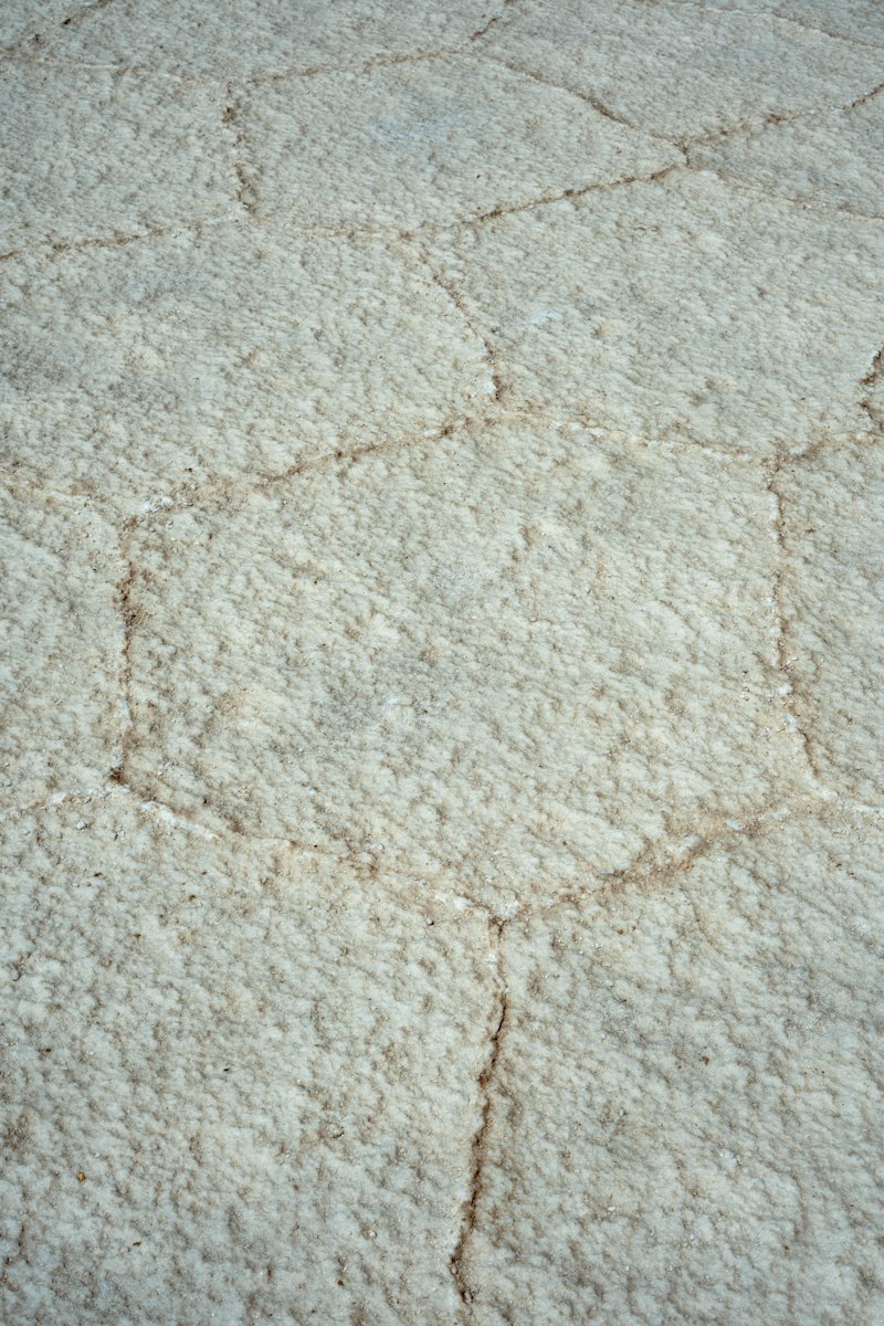 Un tapis à poils longs crème, vu de près