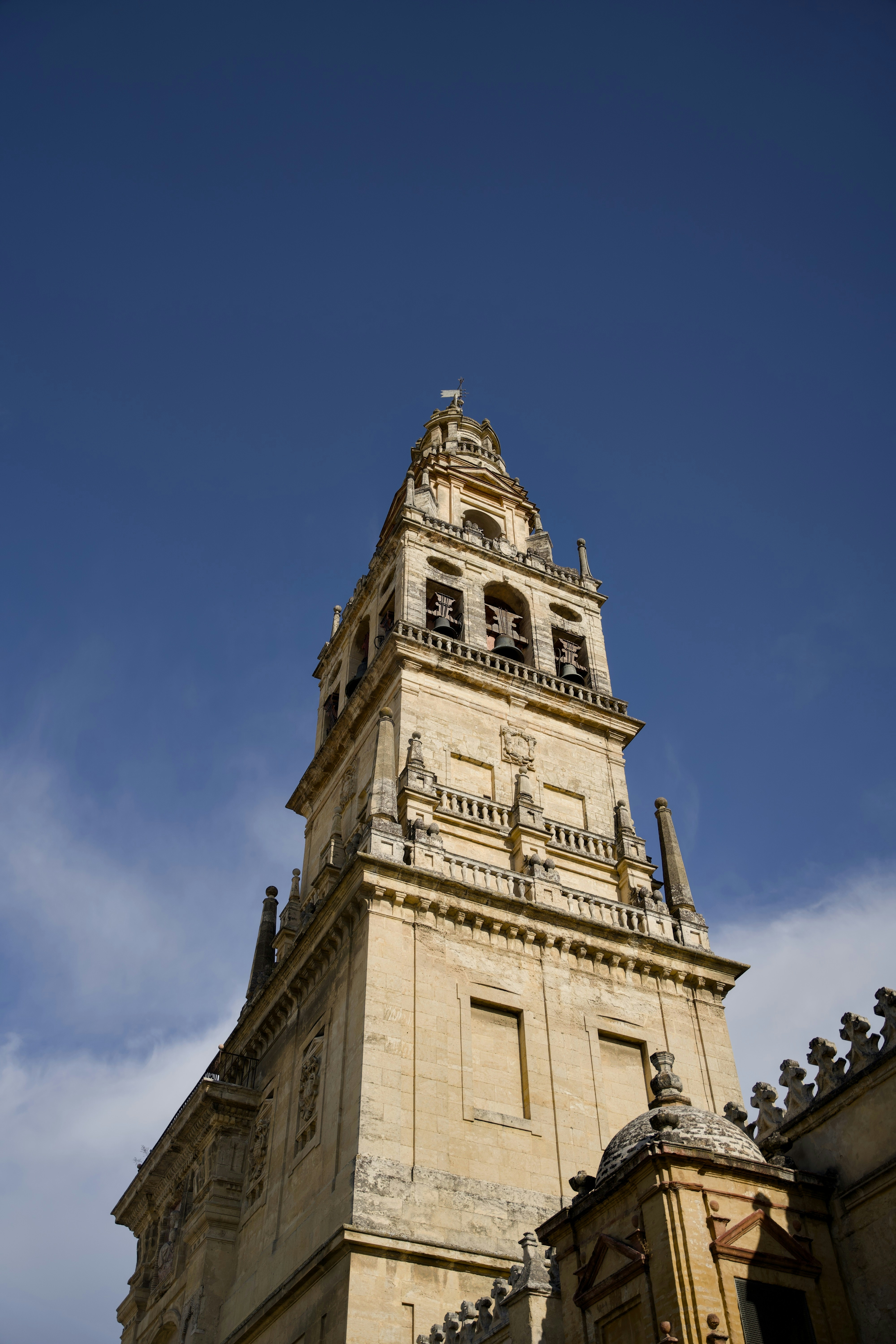 Top 100 Expertos en software de negocios en Córdoba