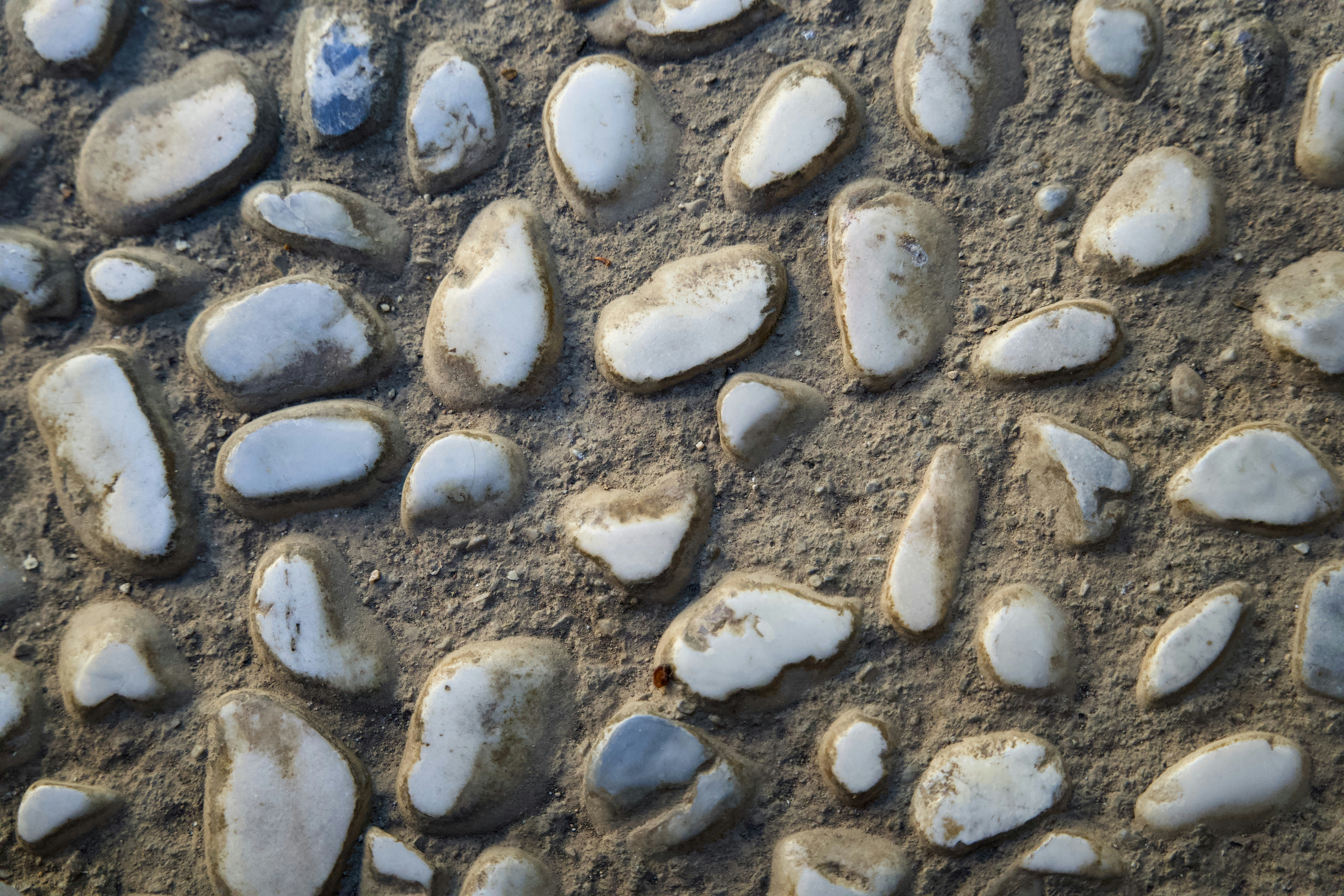 Pedras brancas lisas embutidas em concreto áspero