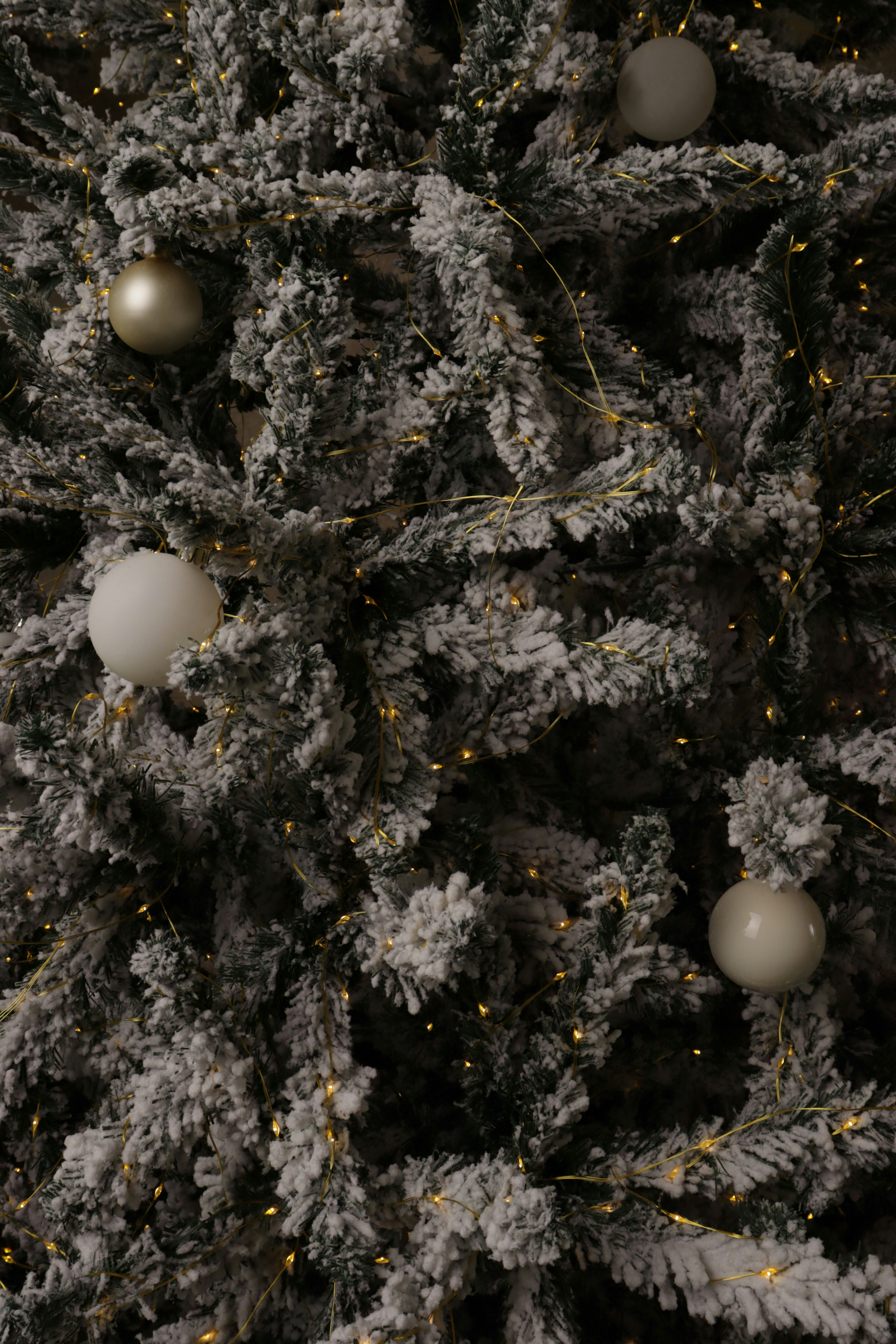 A close-up of a decorated christmas tree with lights.