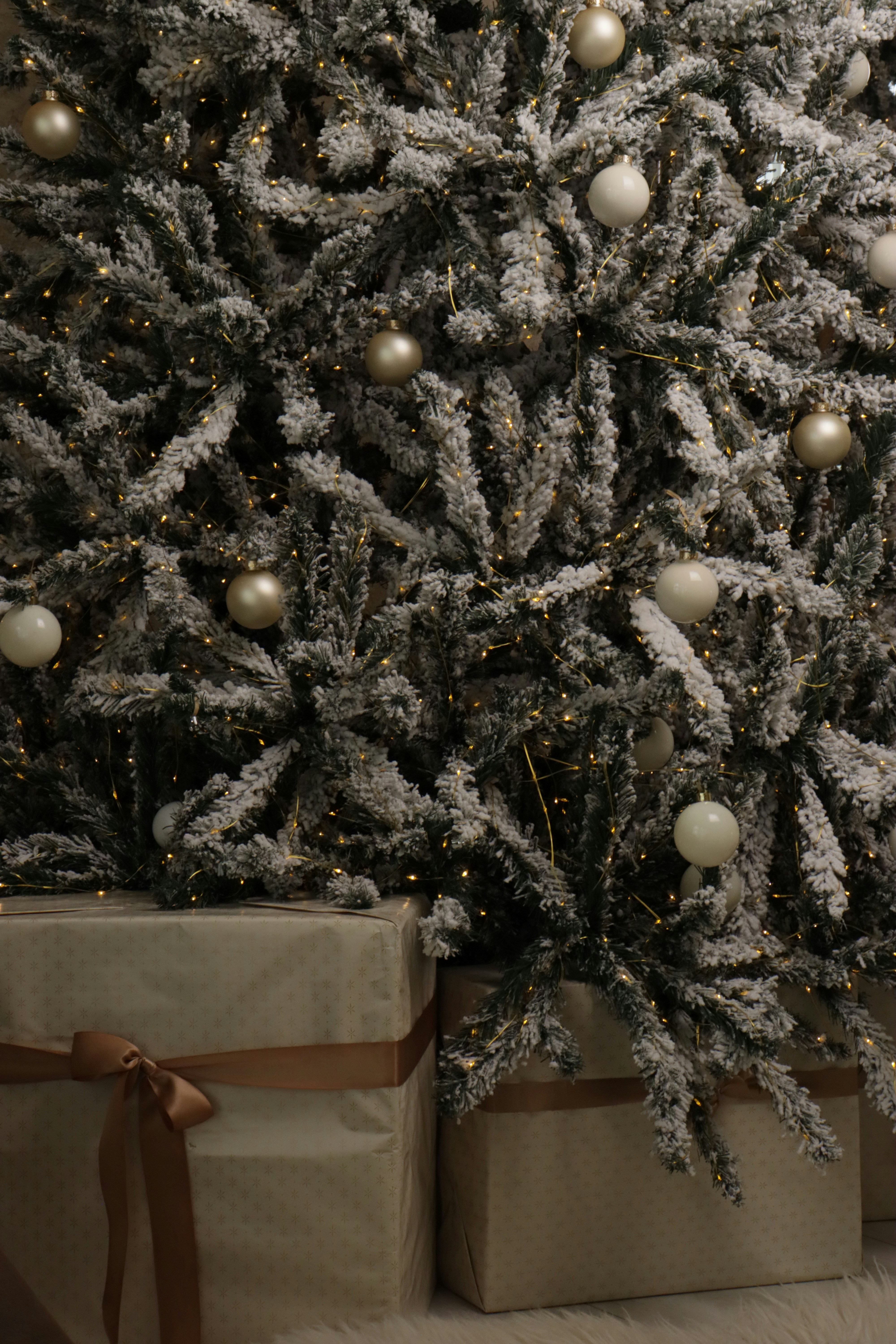 Photo by bored_mongoose