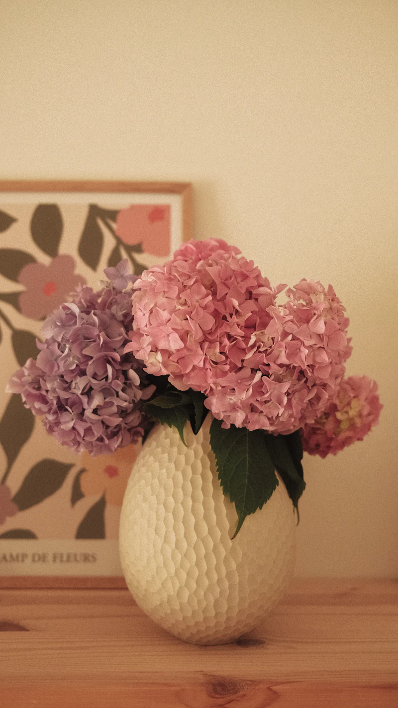 L'Hortensia arrangement