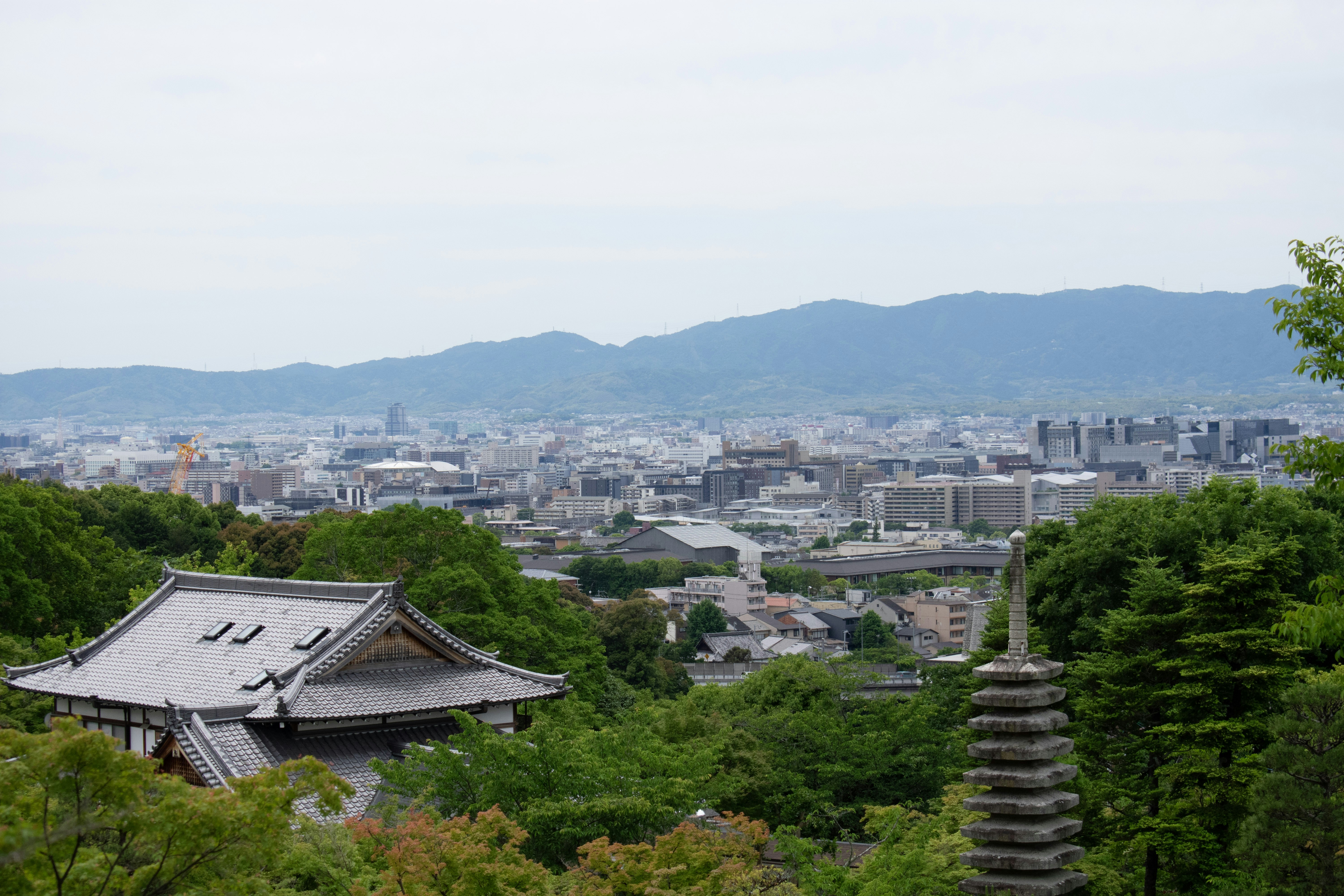 Photo by probablyrobin