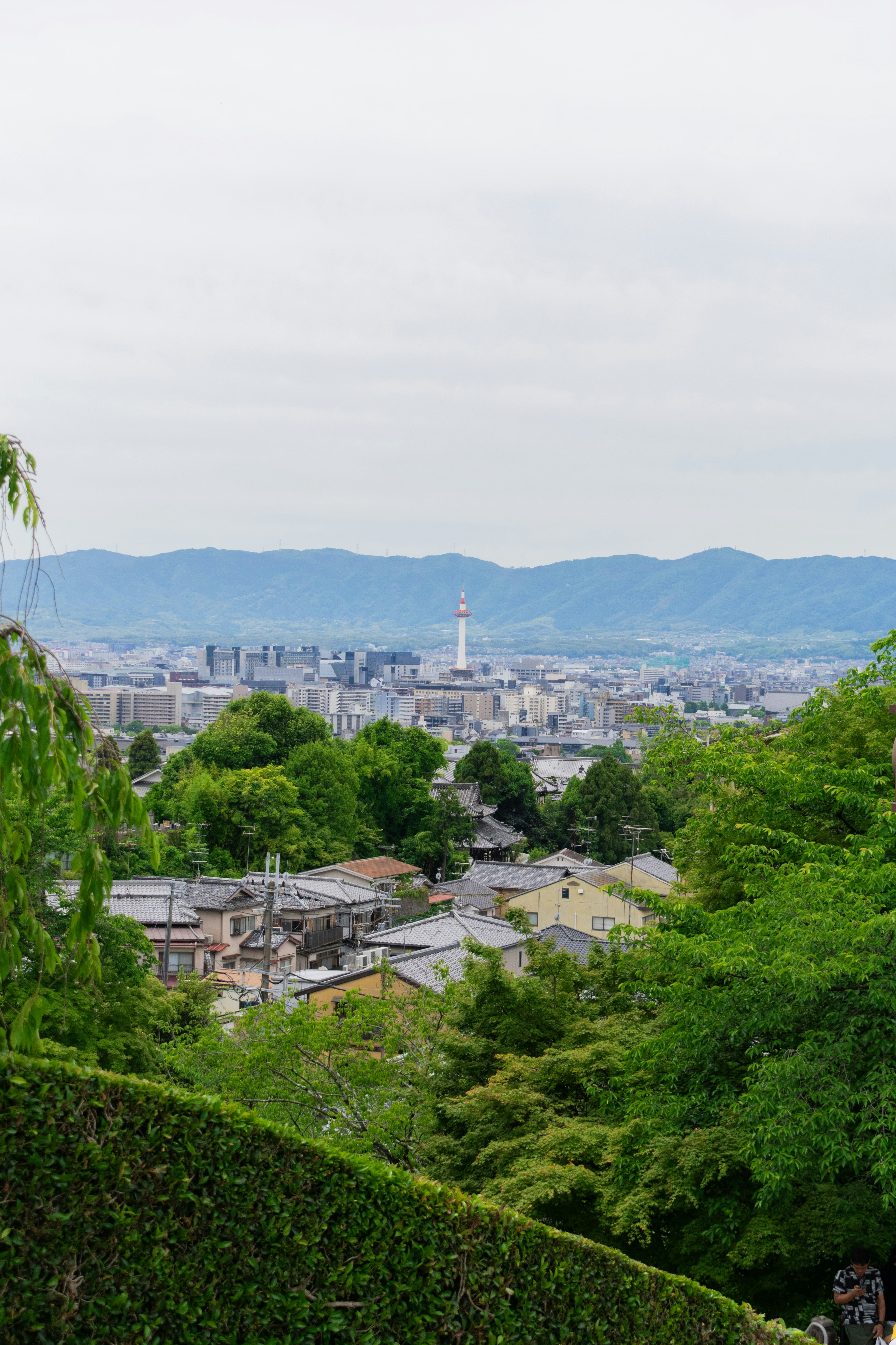 Photo by probablyrobin