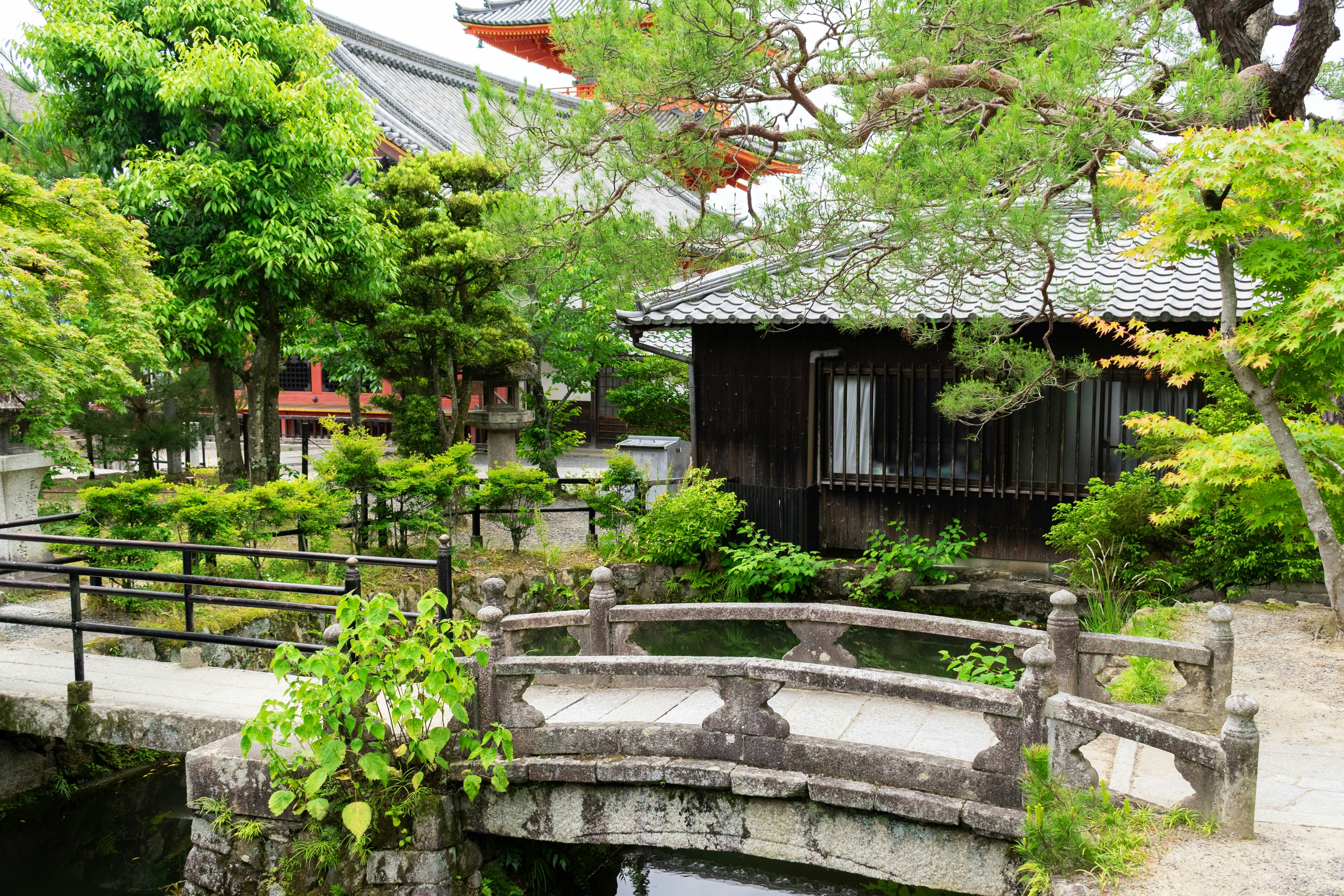 Photo by probablyrobin