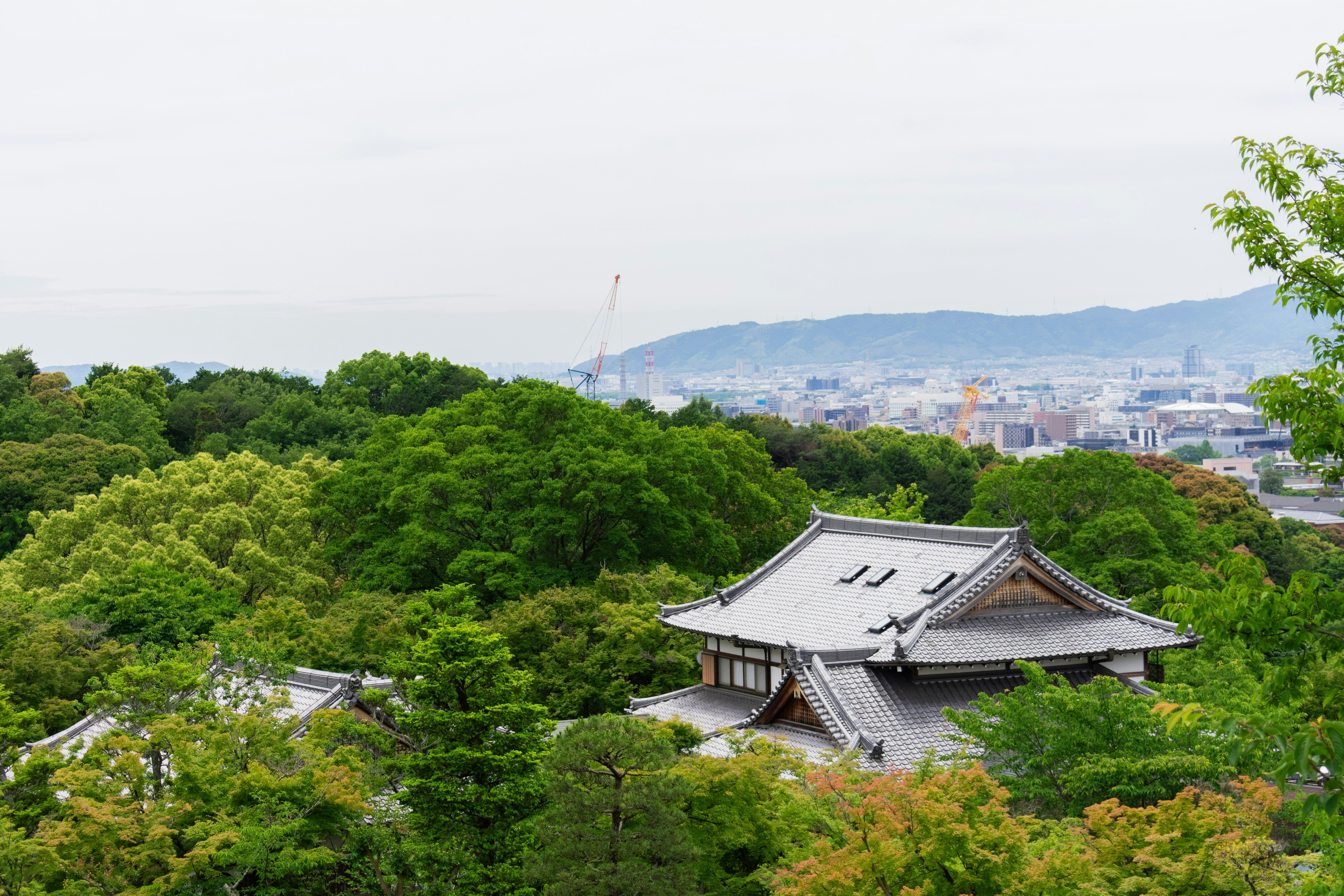 Photo by probablyrobin