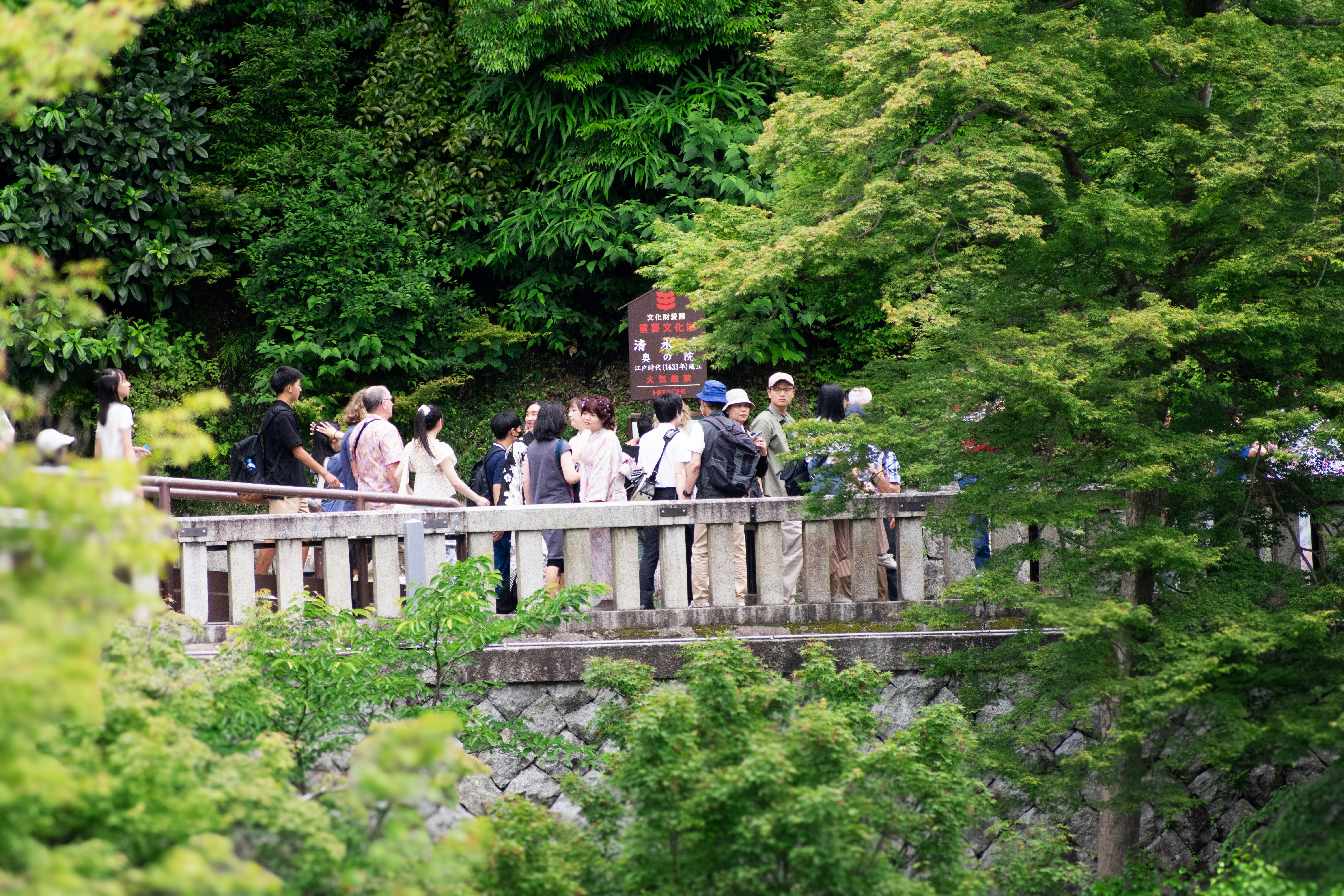 마쓰야마 여행 코스 추천 및 필수 관광지 정보 관련 이미지2