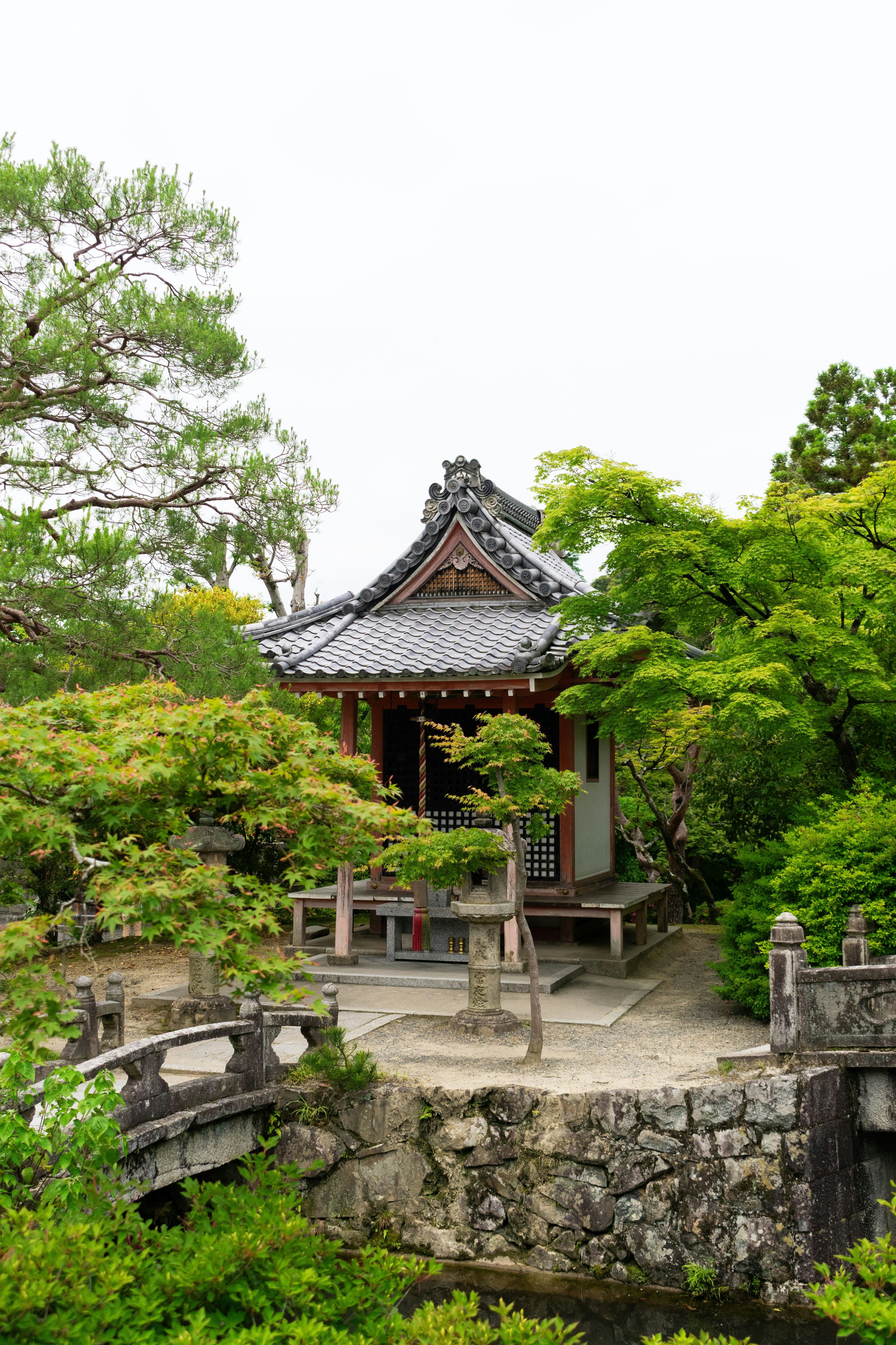 Photo by probablyrobin