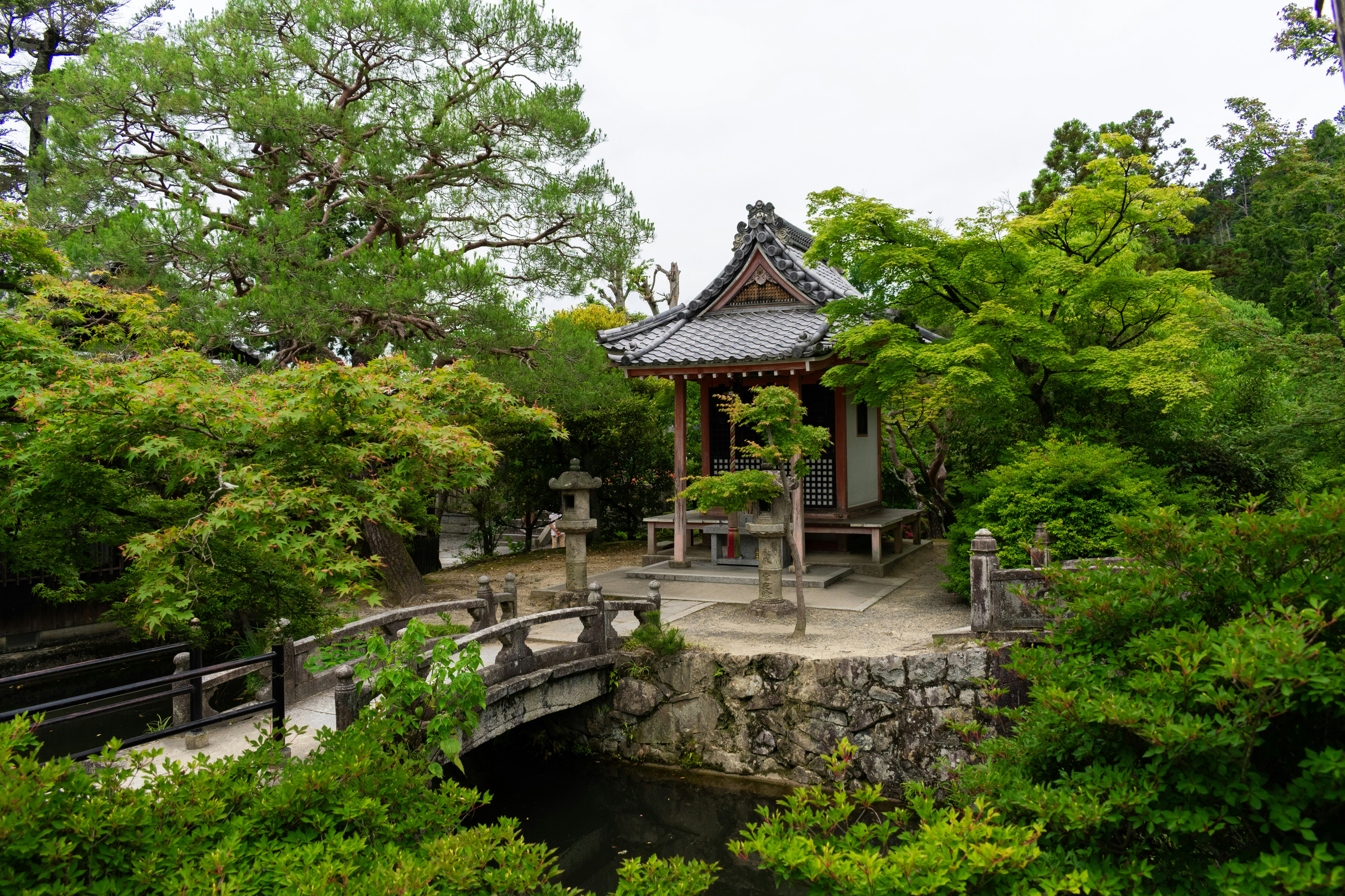 Photo by probablyrobin