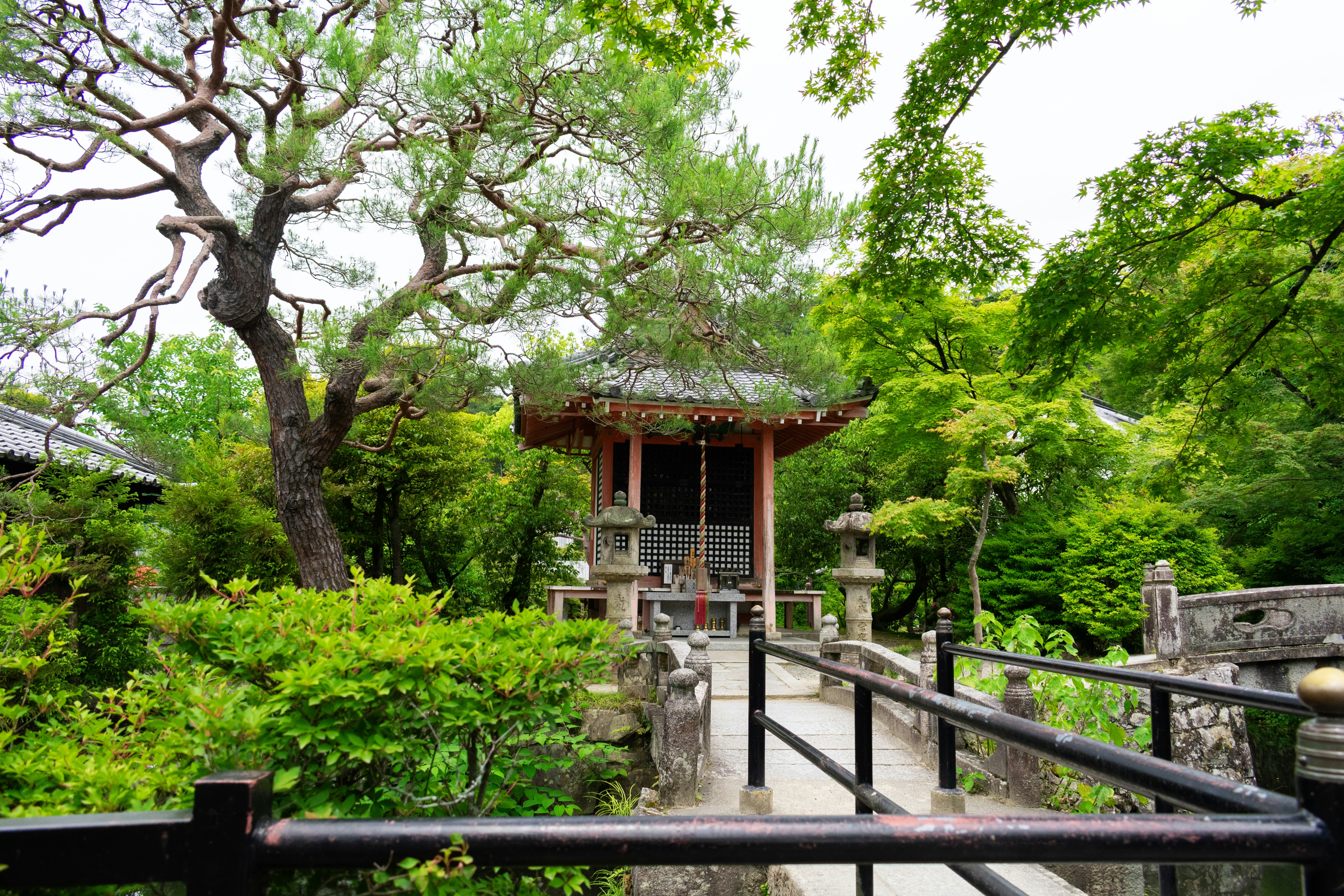 Photo by probablyrobin