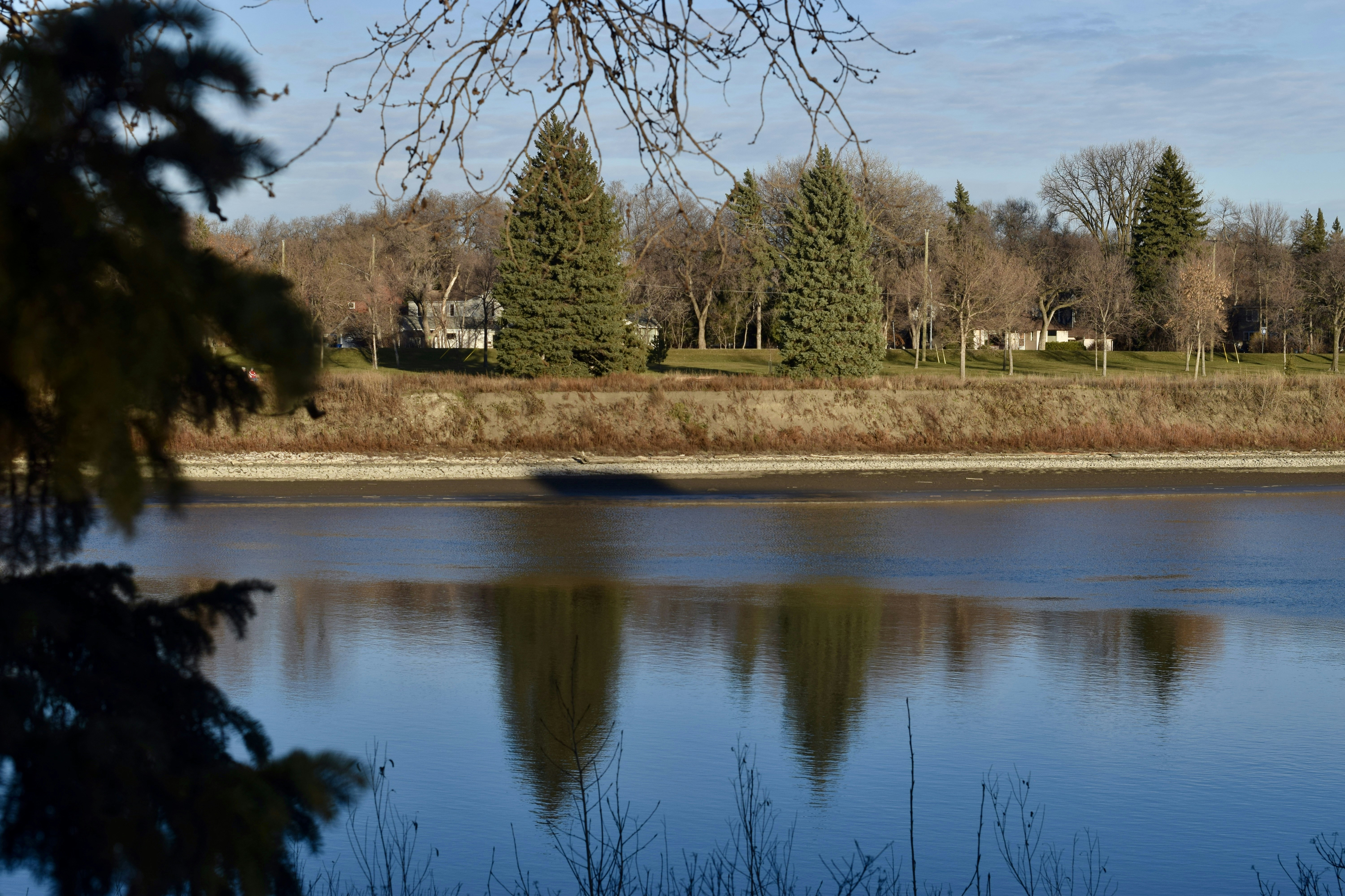 Calm river reflecting trees and houses on shore.
