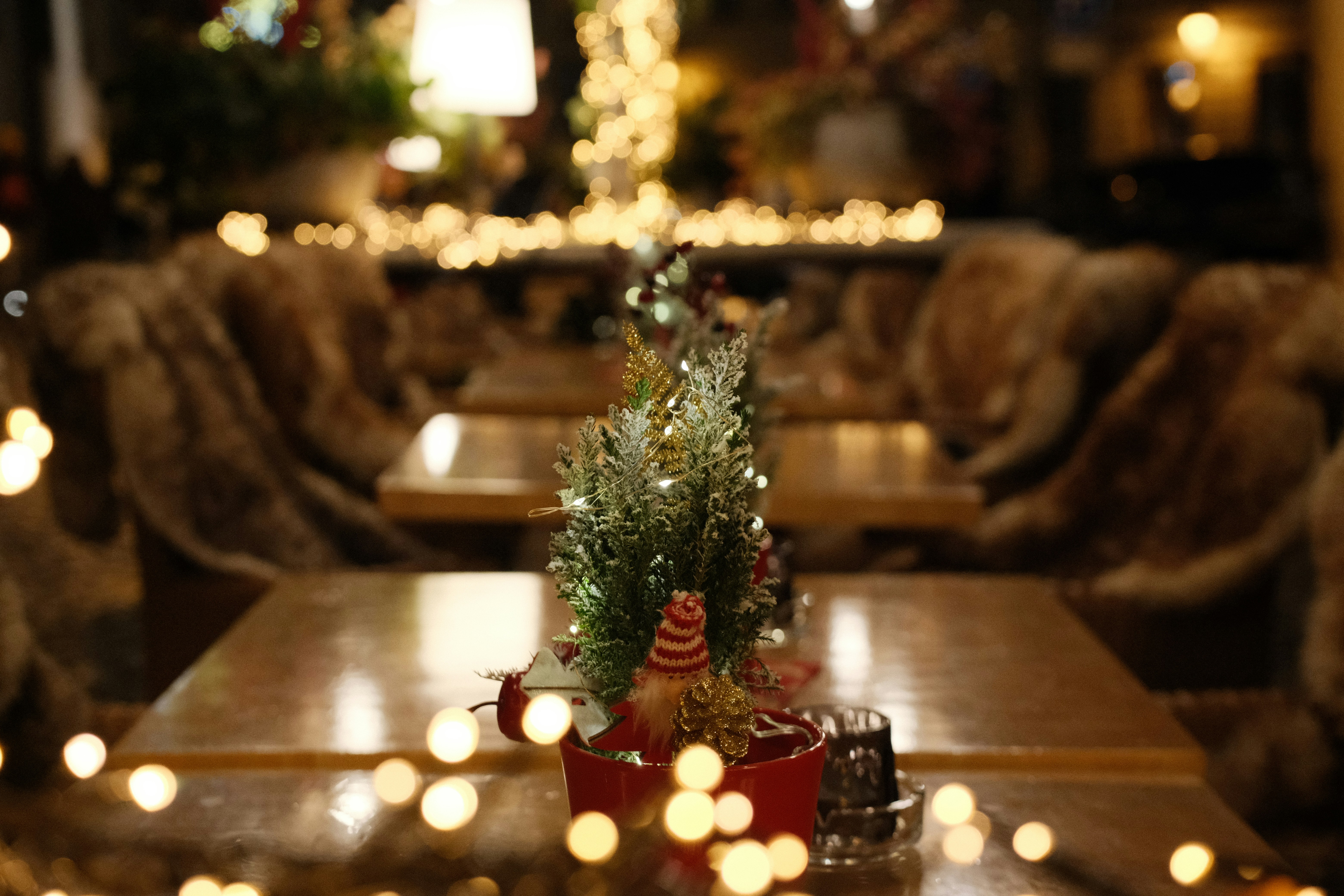 Cozy cafe table with holiday decorations and lights