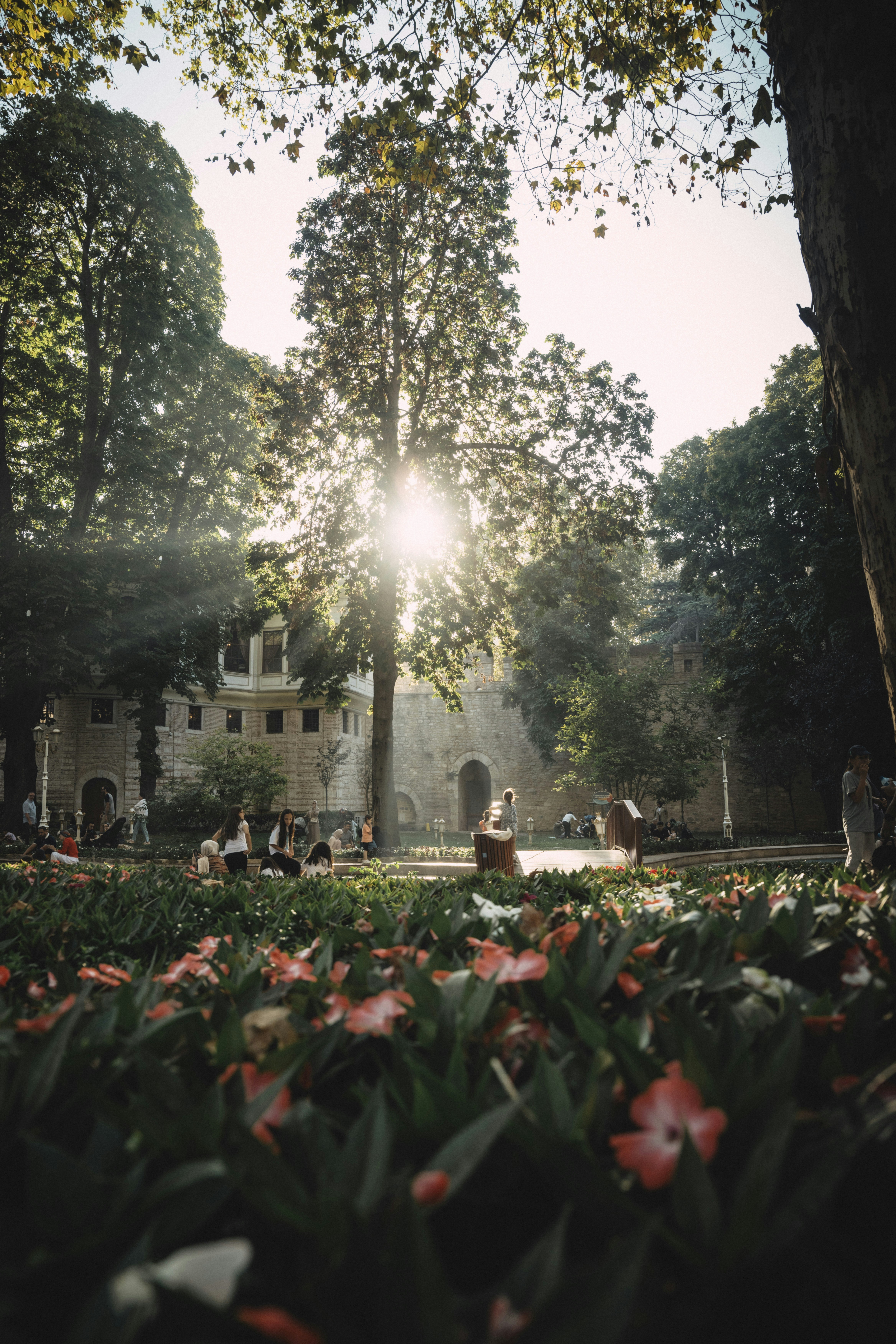 La luz del sol se cuela entre los árboles en un parque lleno de gente.