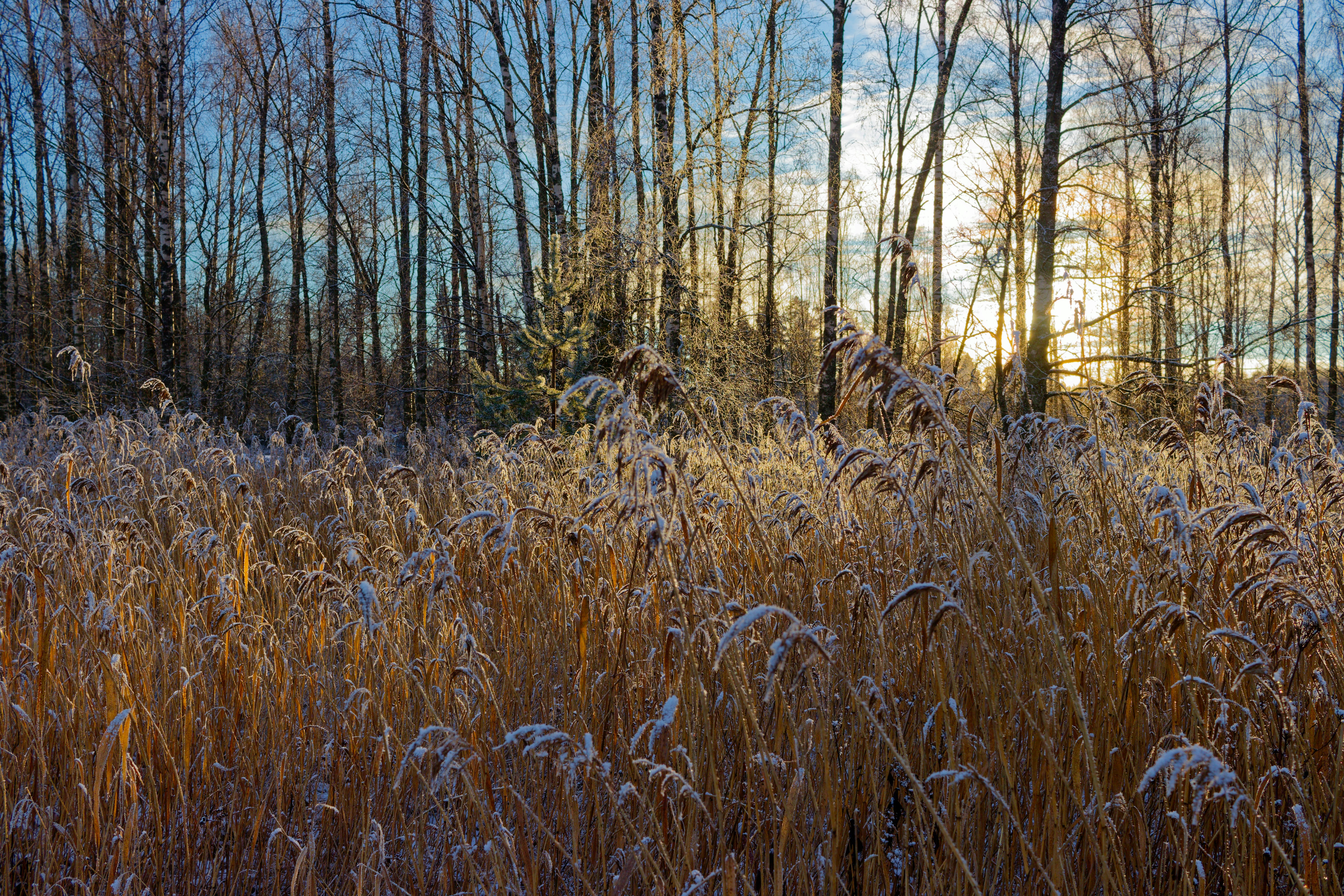 Photo by schneiderhenry