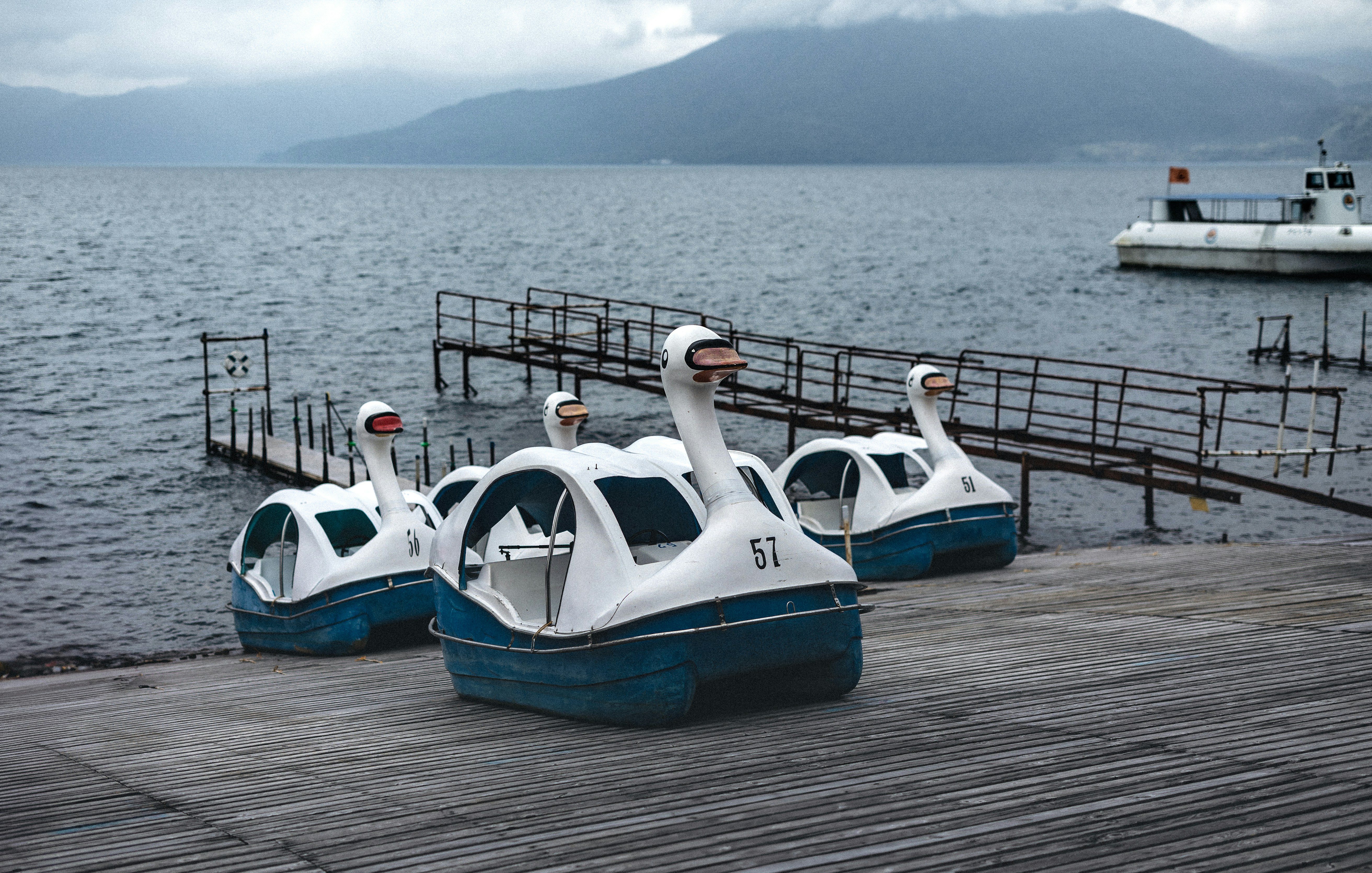 Swan pedal boats docked by a lake