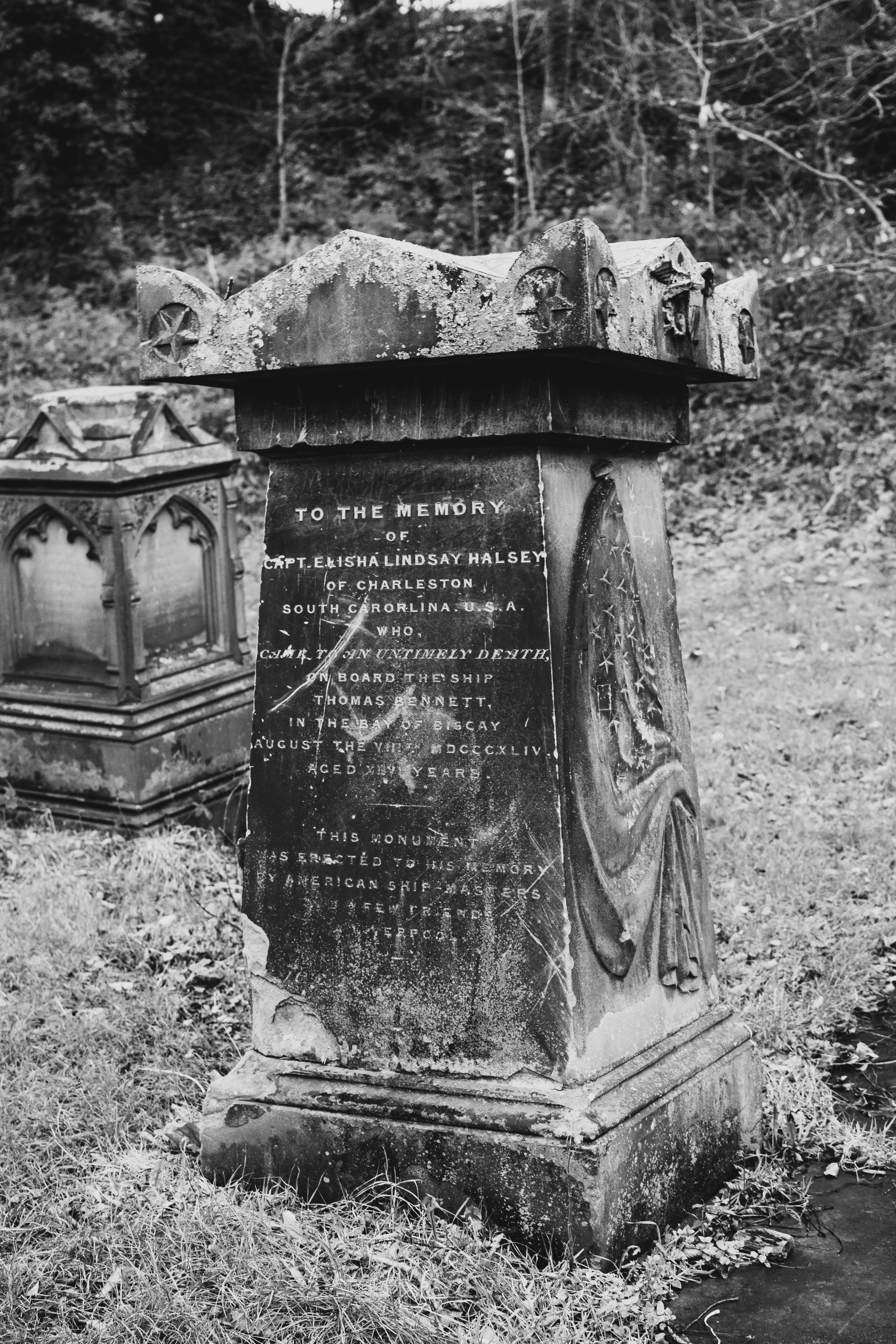 Photo by alexdavidphotos