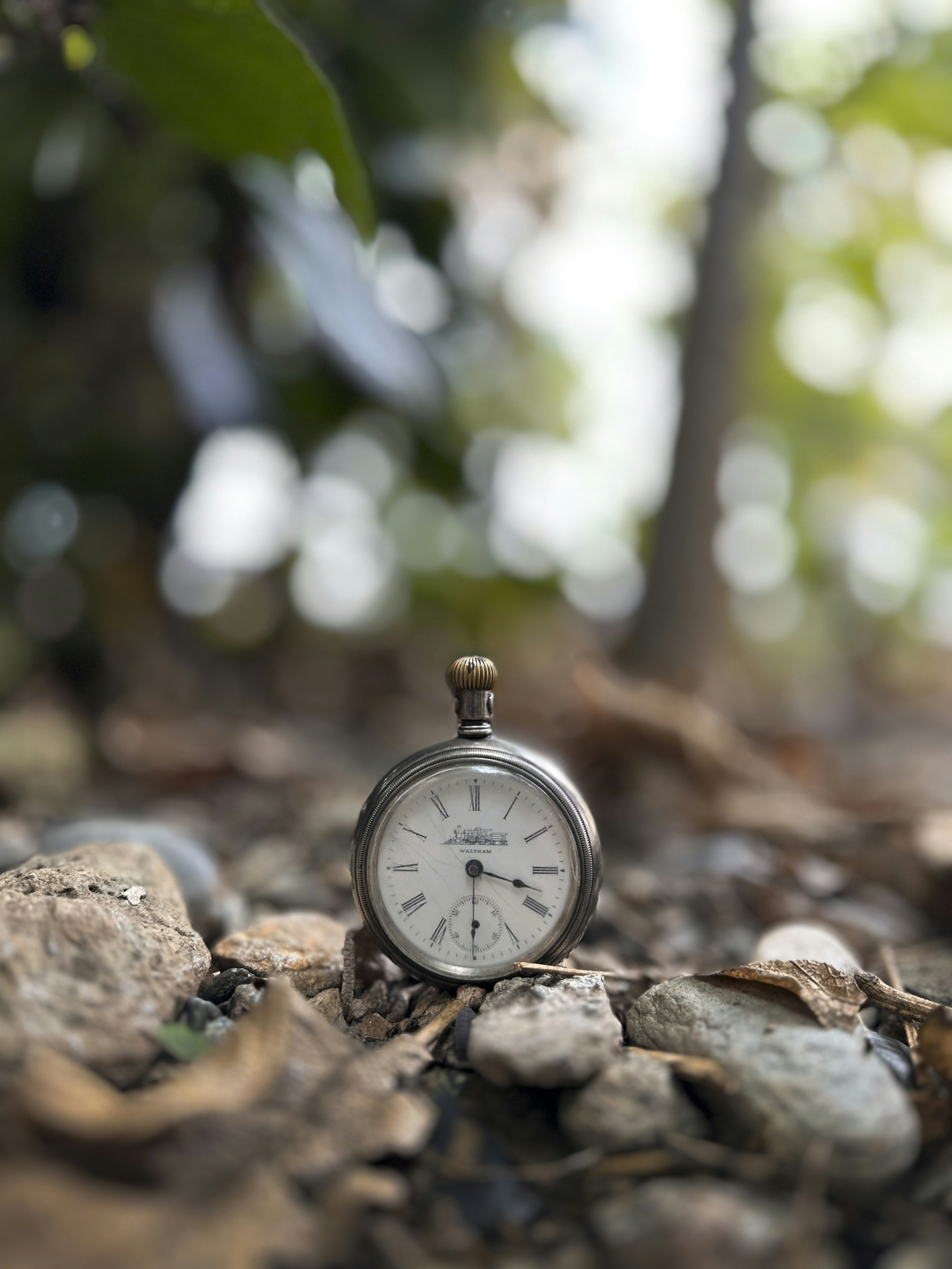 Antique pocket watch resting on forest floor