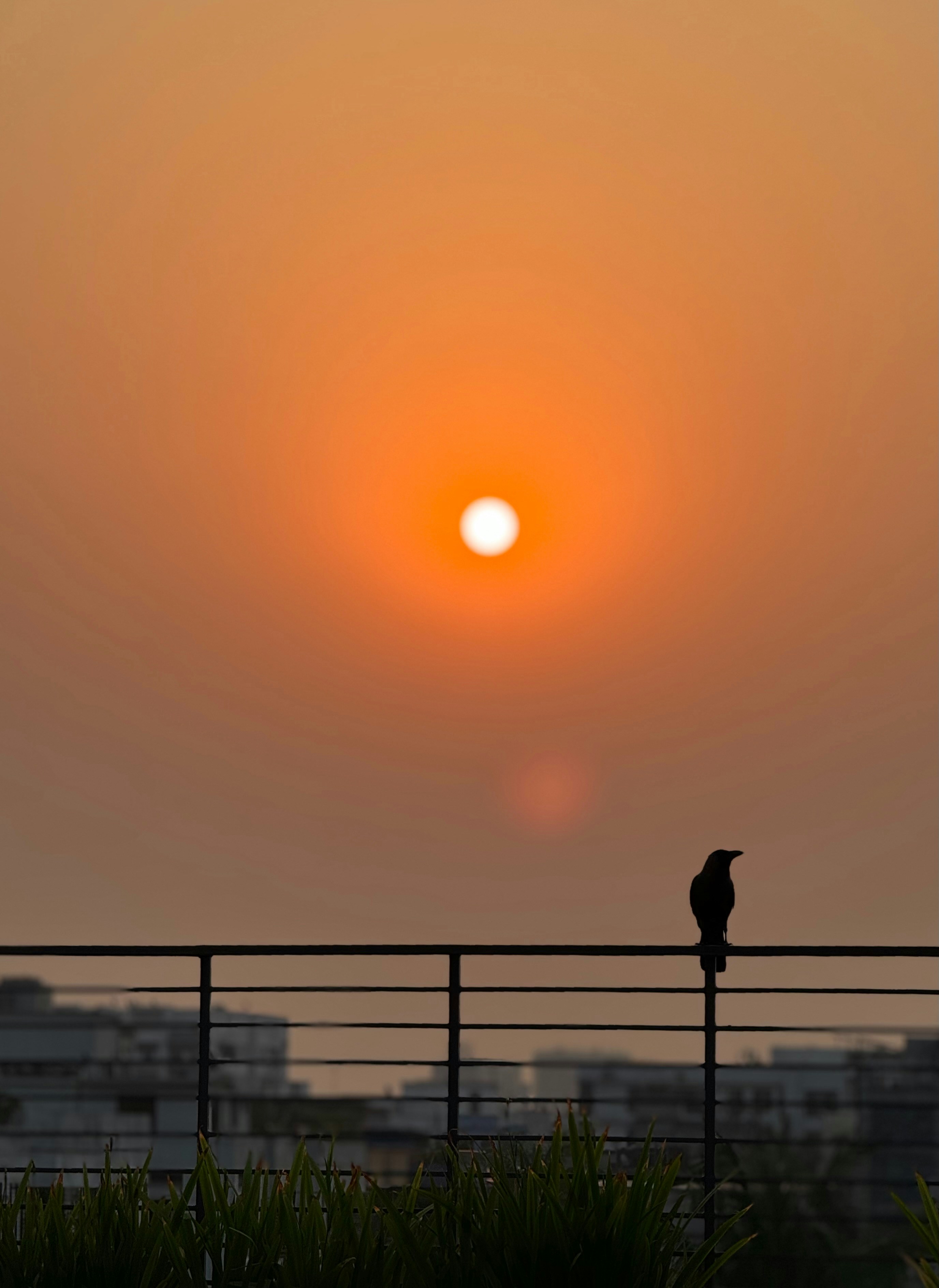 Photo by taifigraphy