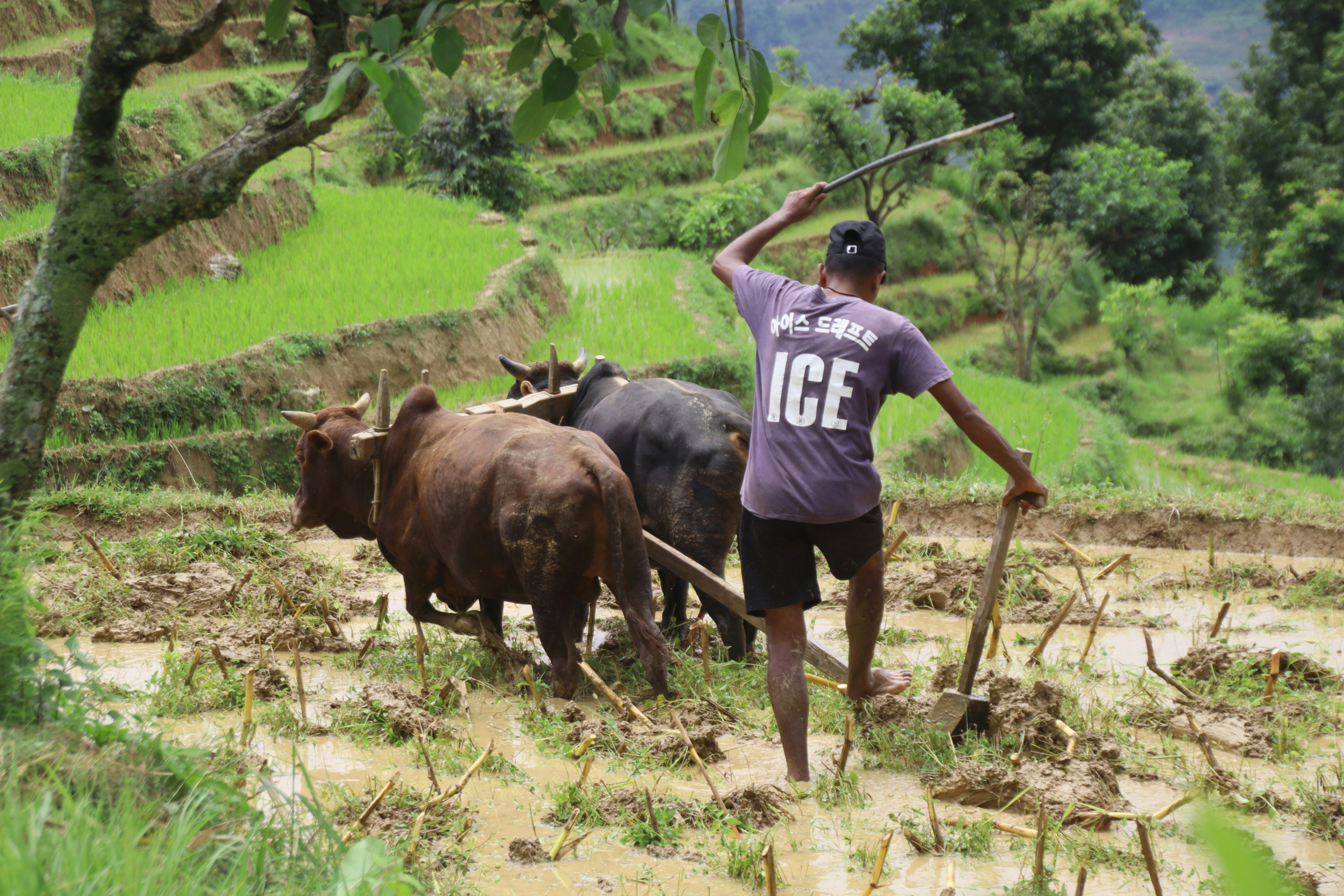 국가유공자 7급 보상금