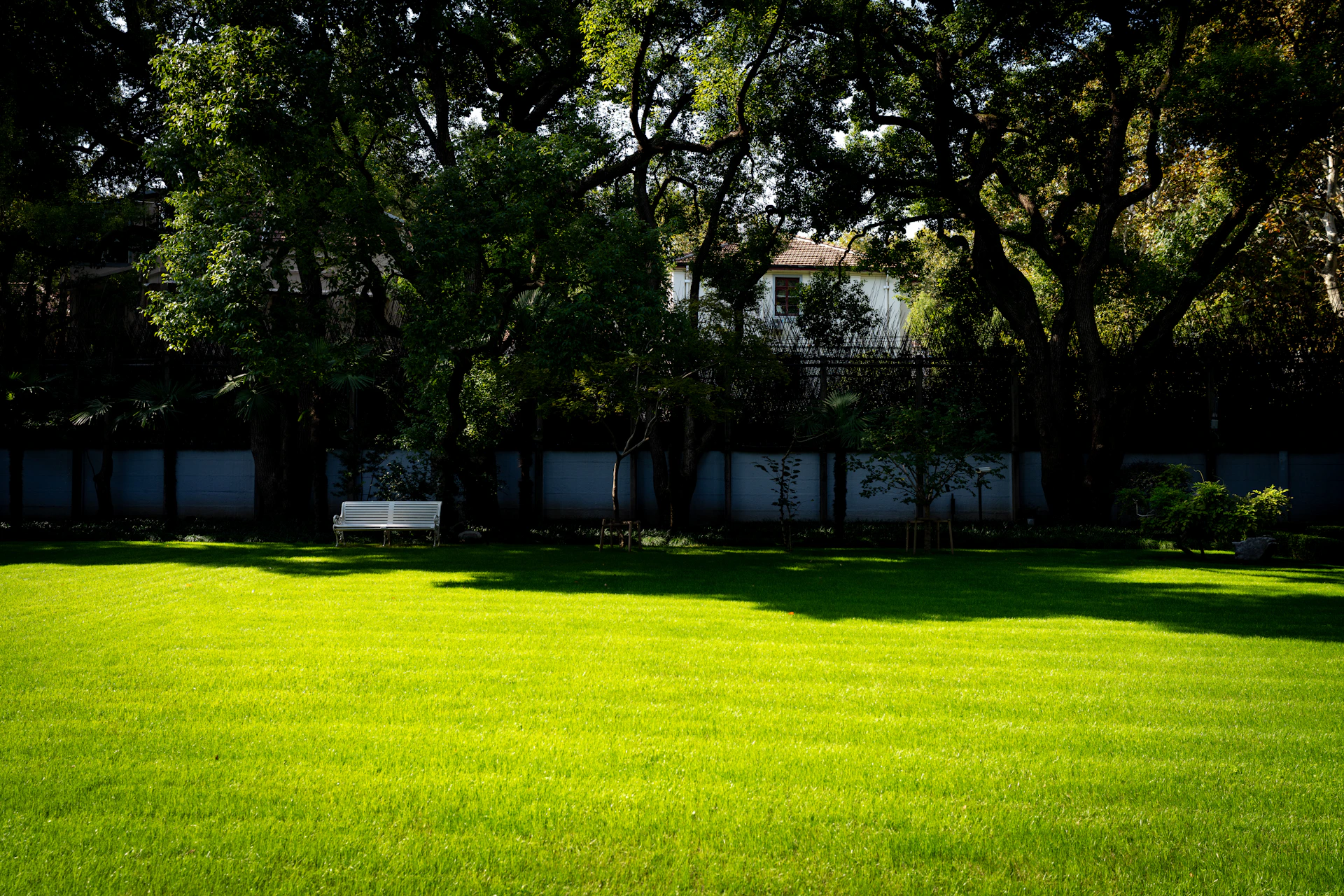 A white bench sits on a lush green lawn.