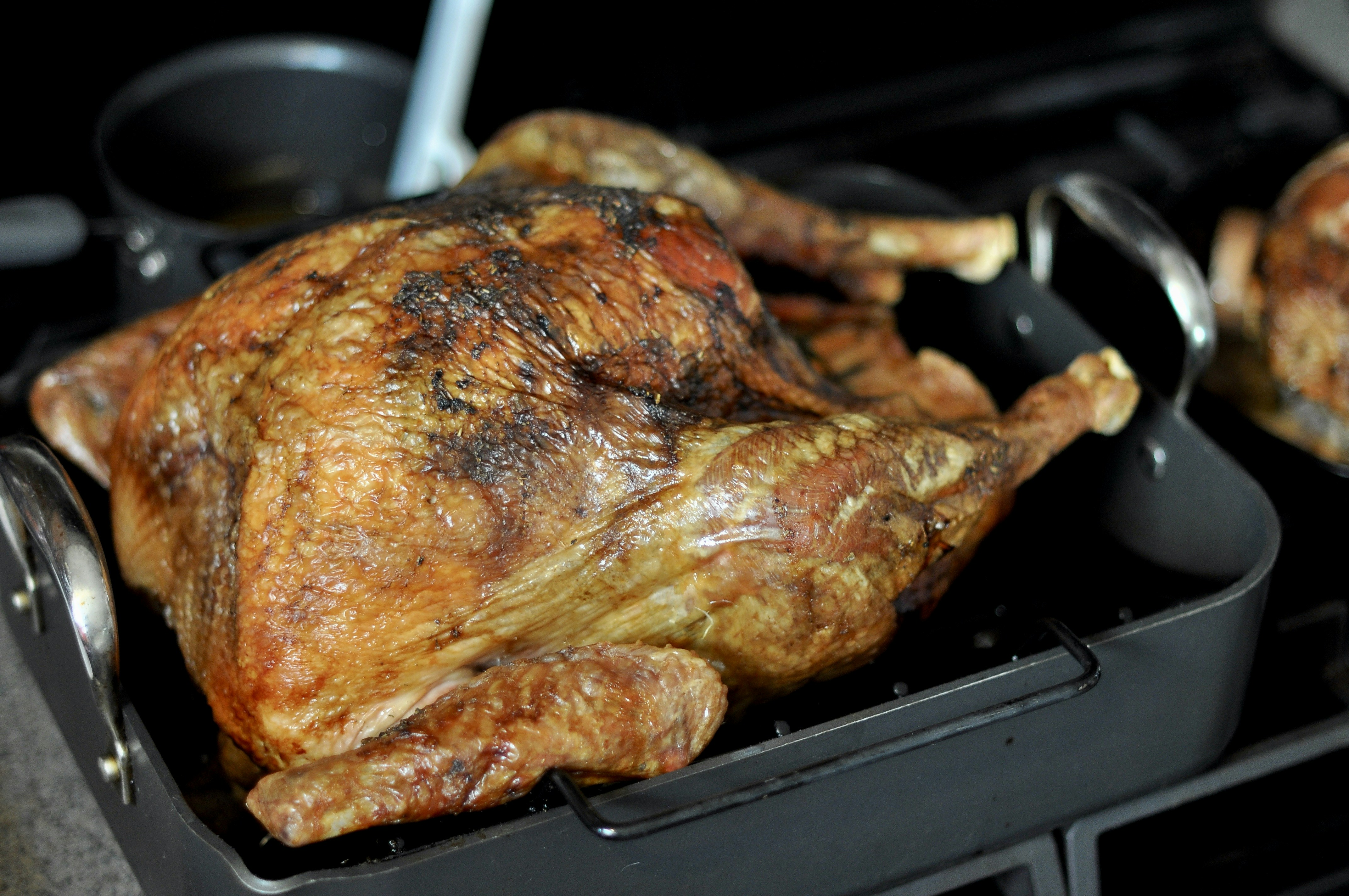 A golden-brown roasted turkey in a roasting pan