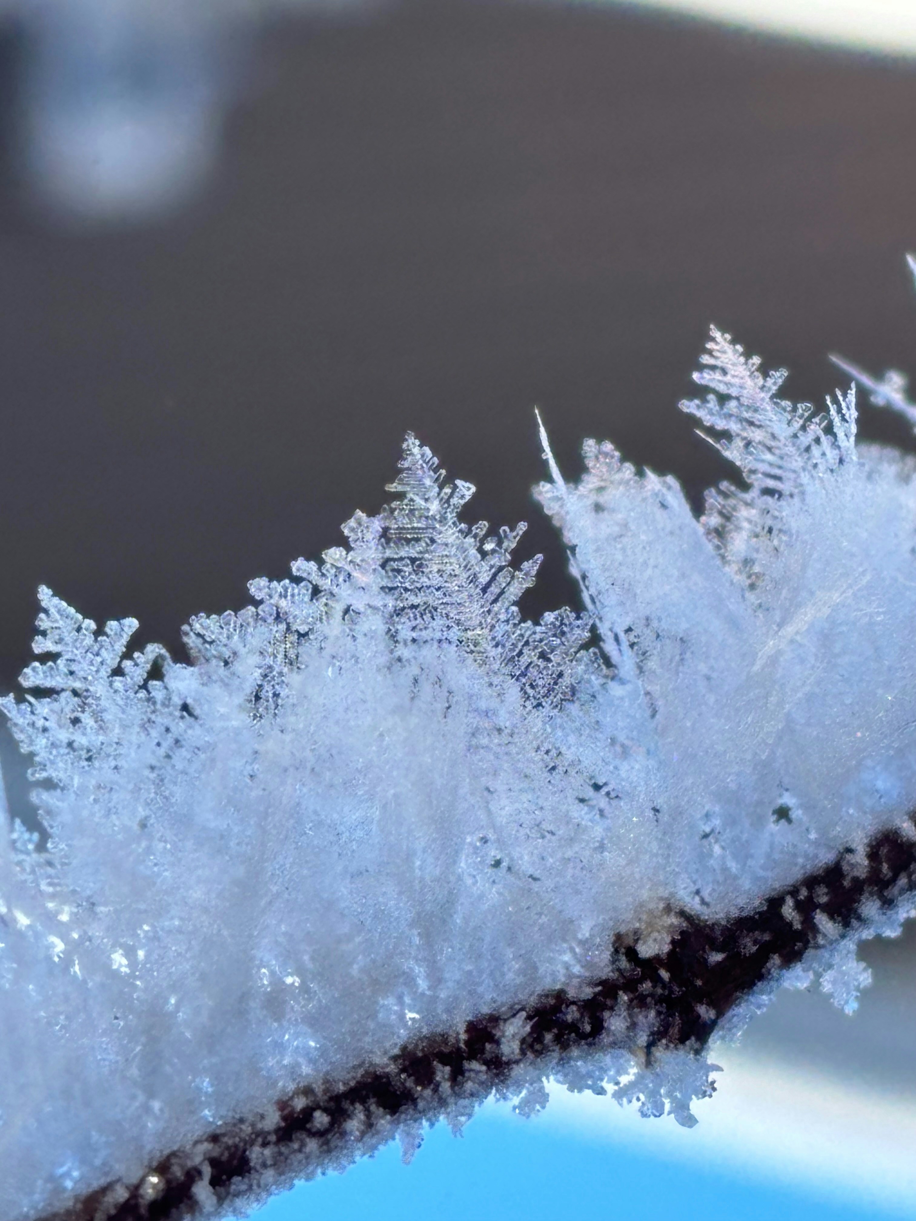 Photo by beutifulnature