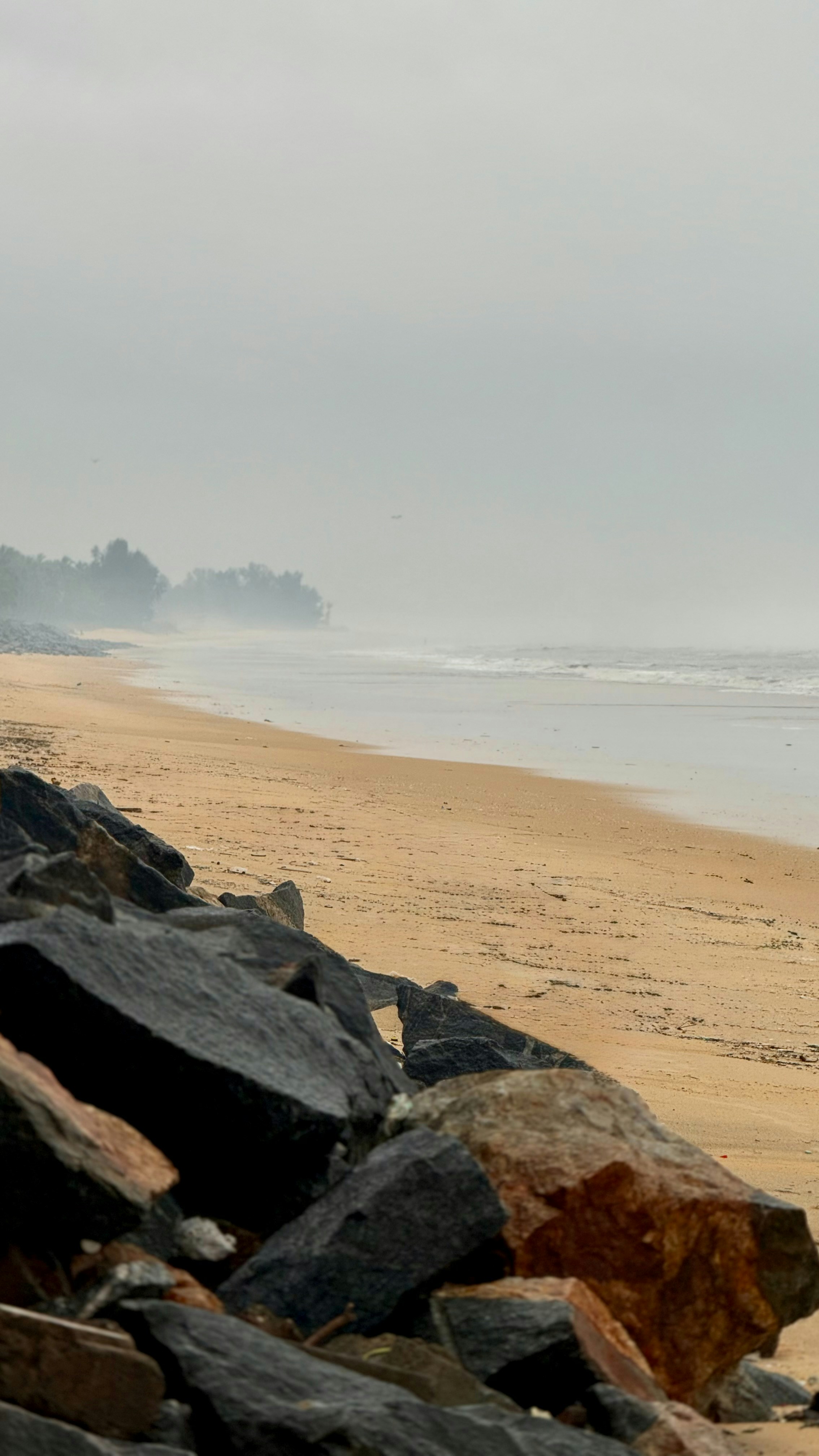 Photo by pranav_shirali