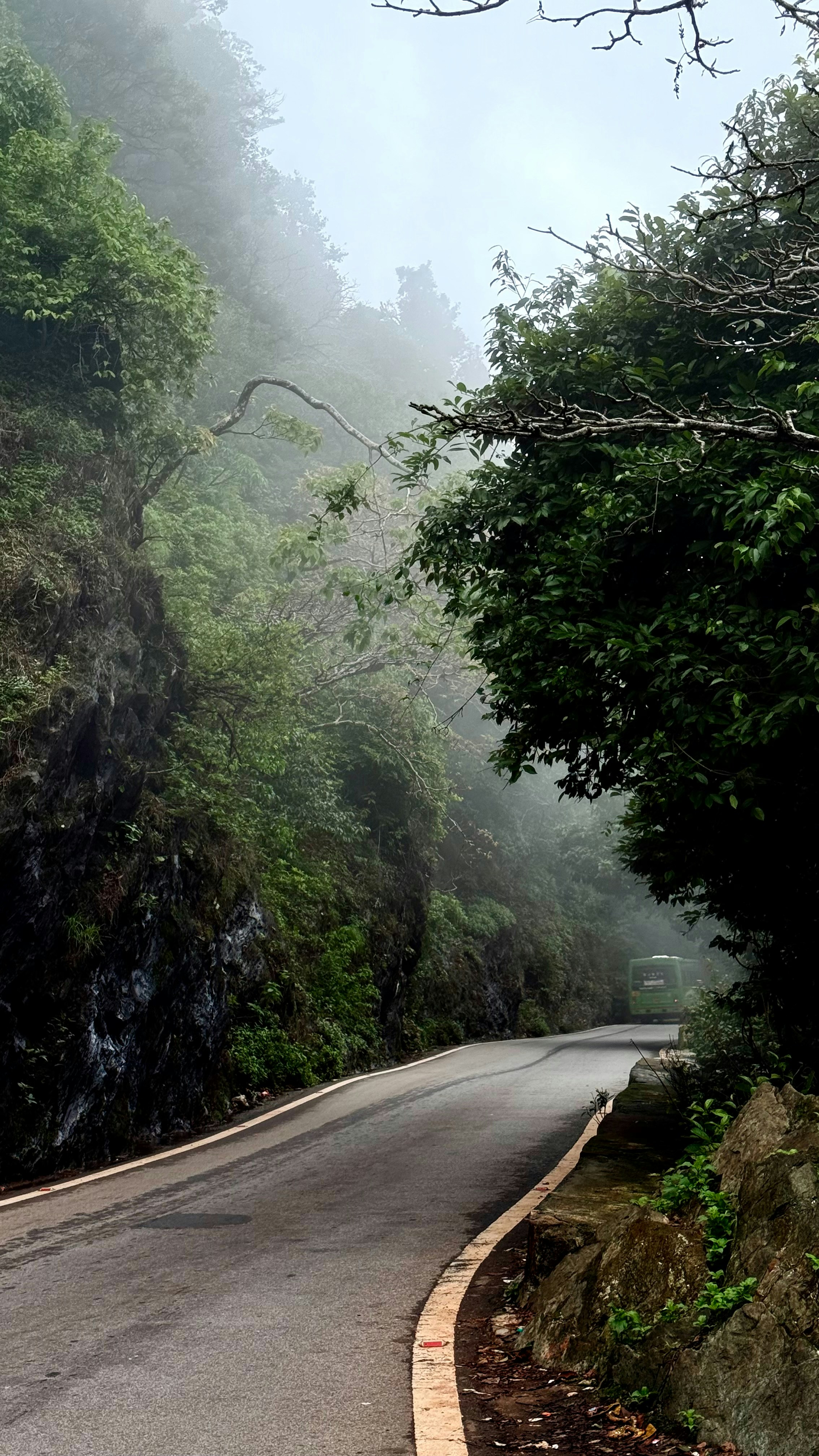 Photo by pranav_shirali