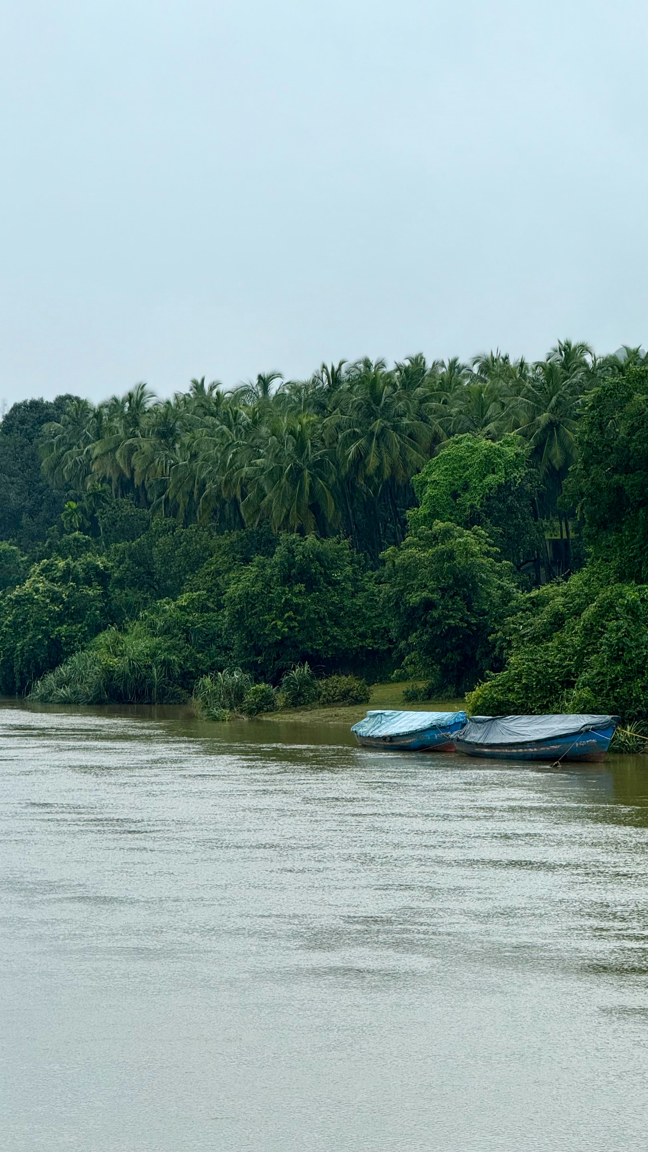 Photo by pranav_shirali