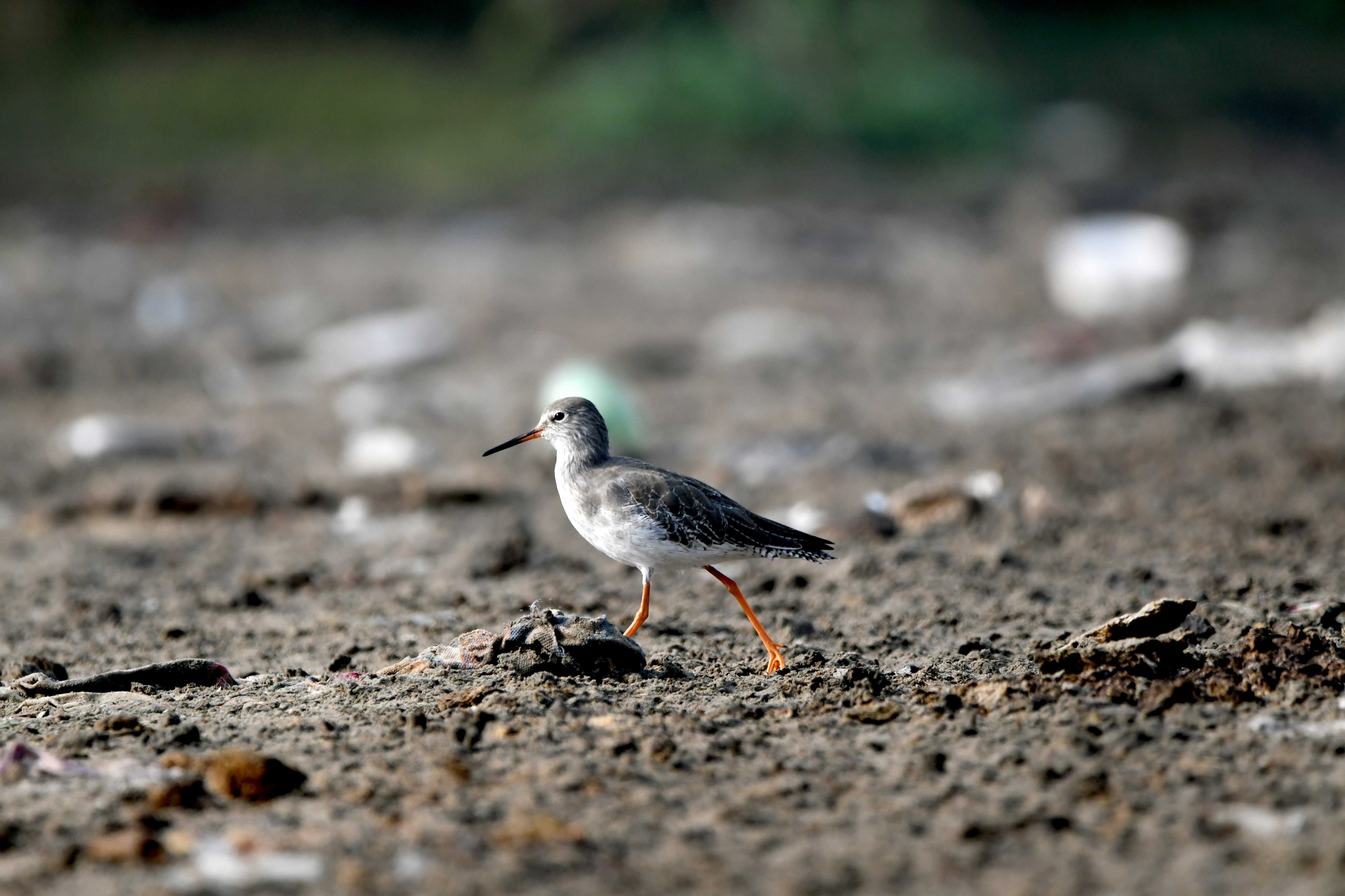 Photo by amitrai10