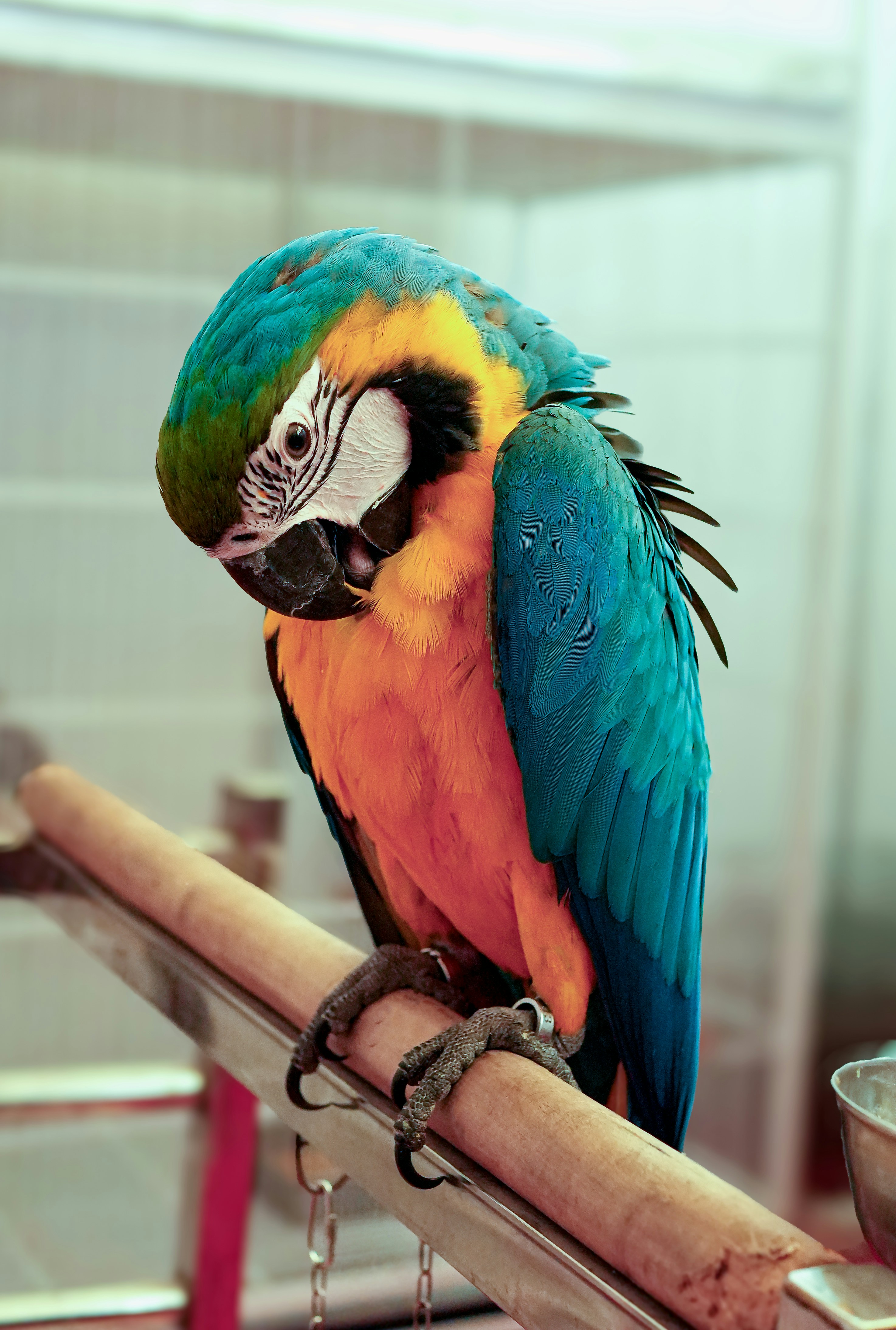 Photo by brocoleemonade