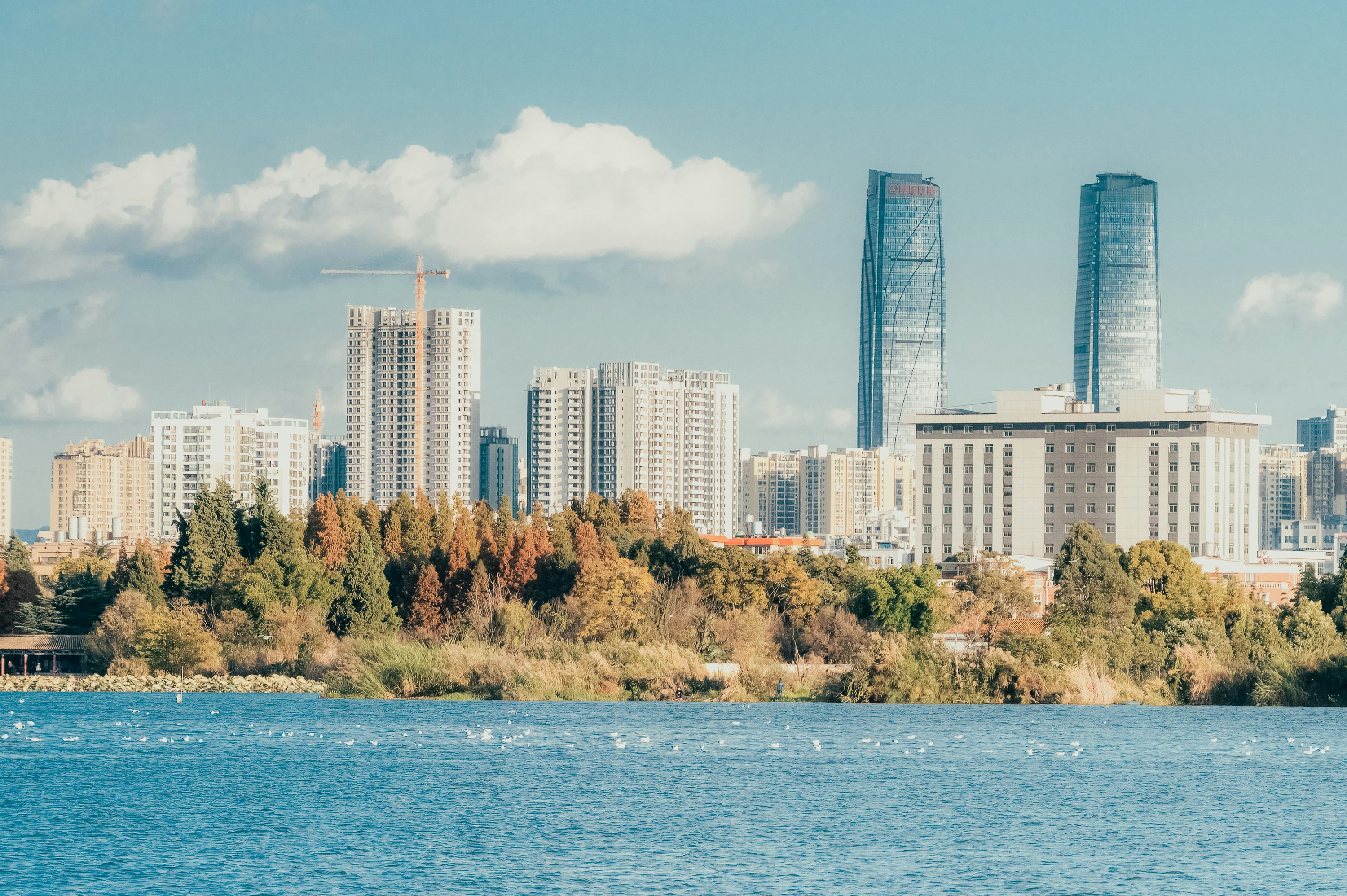 Photo by vincent_tint