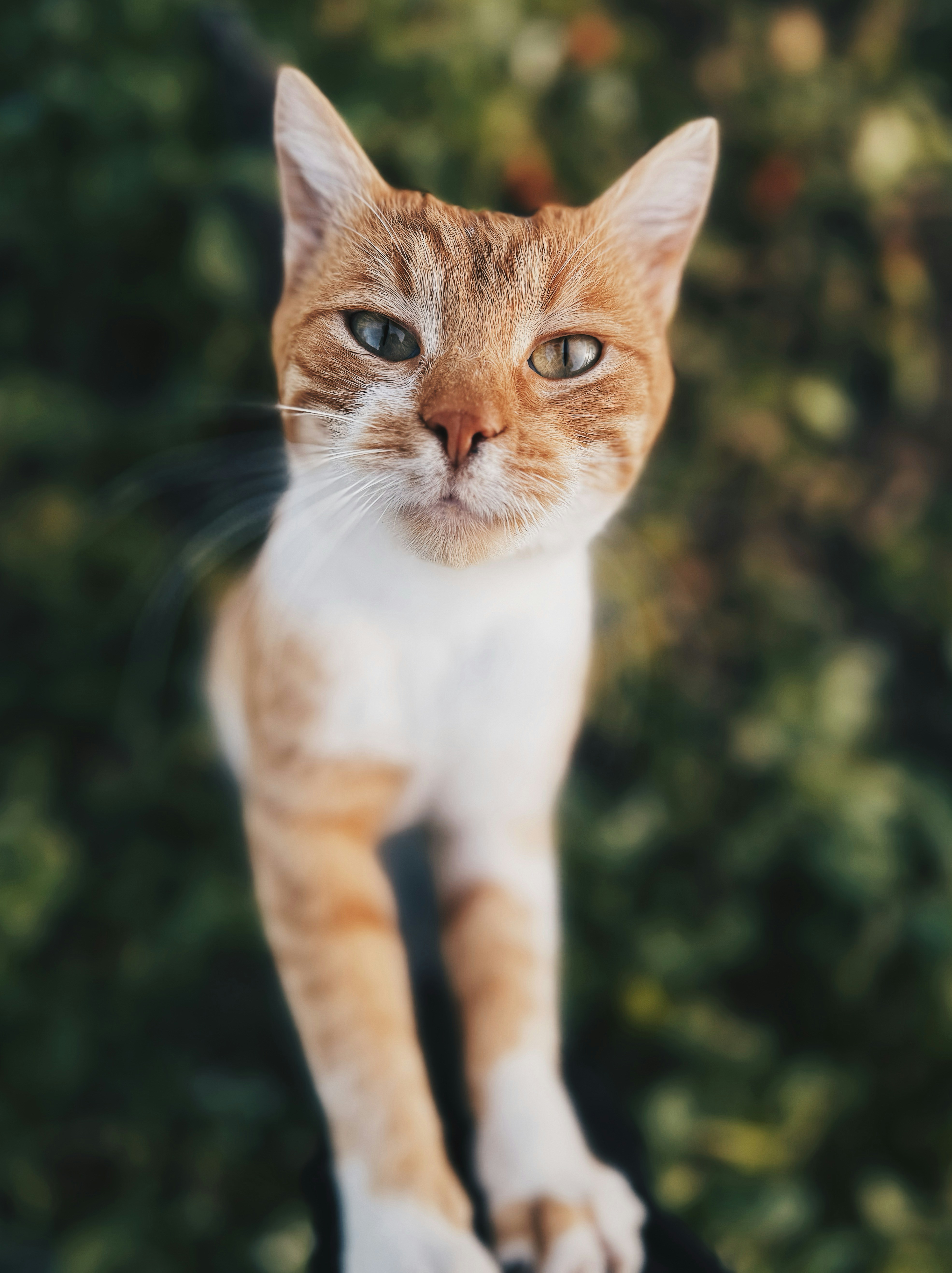 Photo by yunusemresezgi52