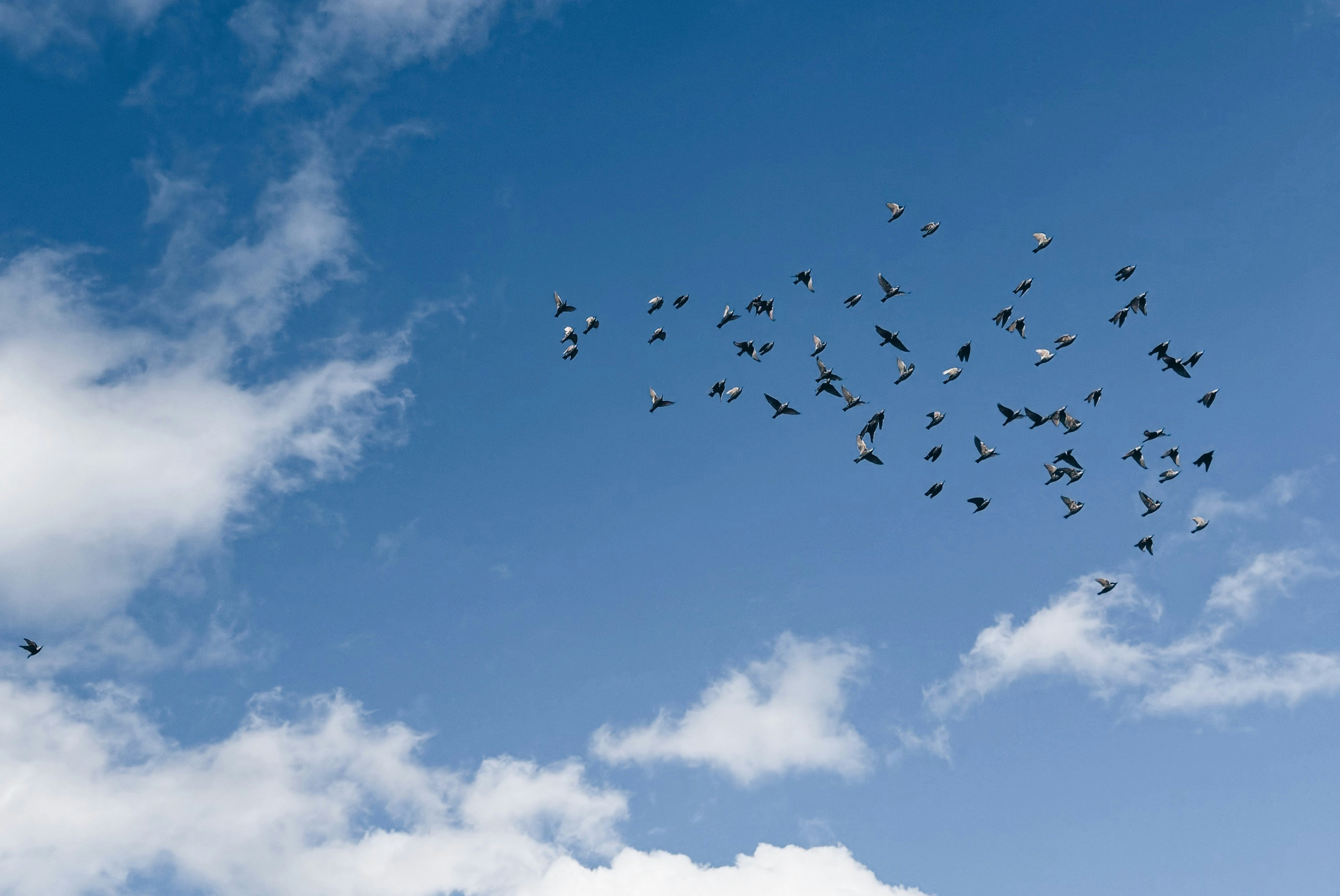 Photo by yunusemresezgi52