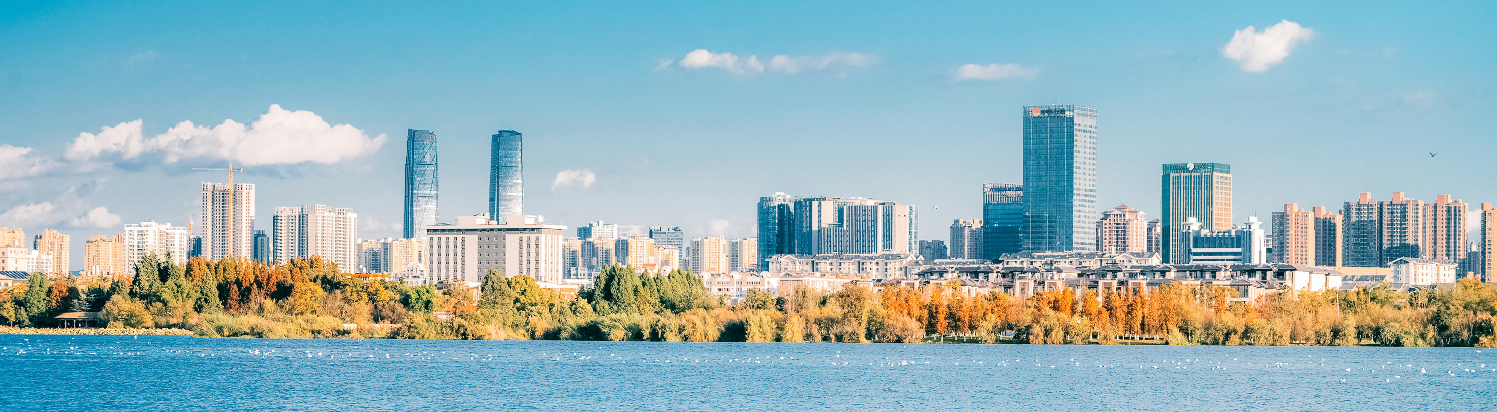 Photo by vincent_tint